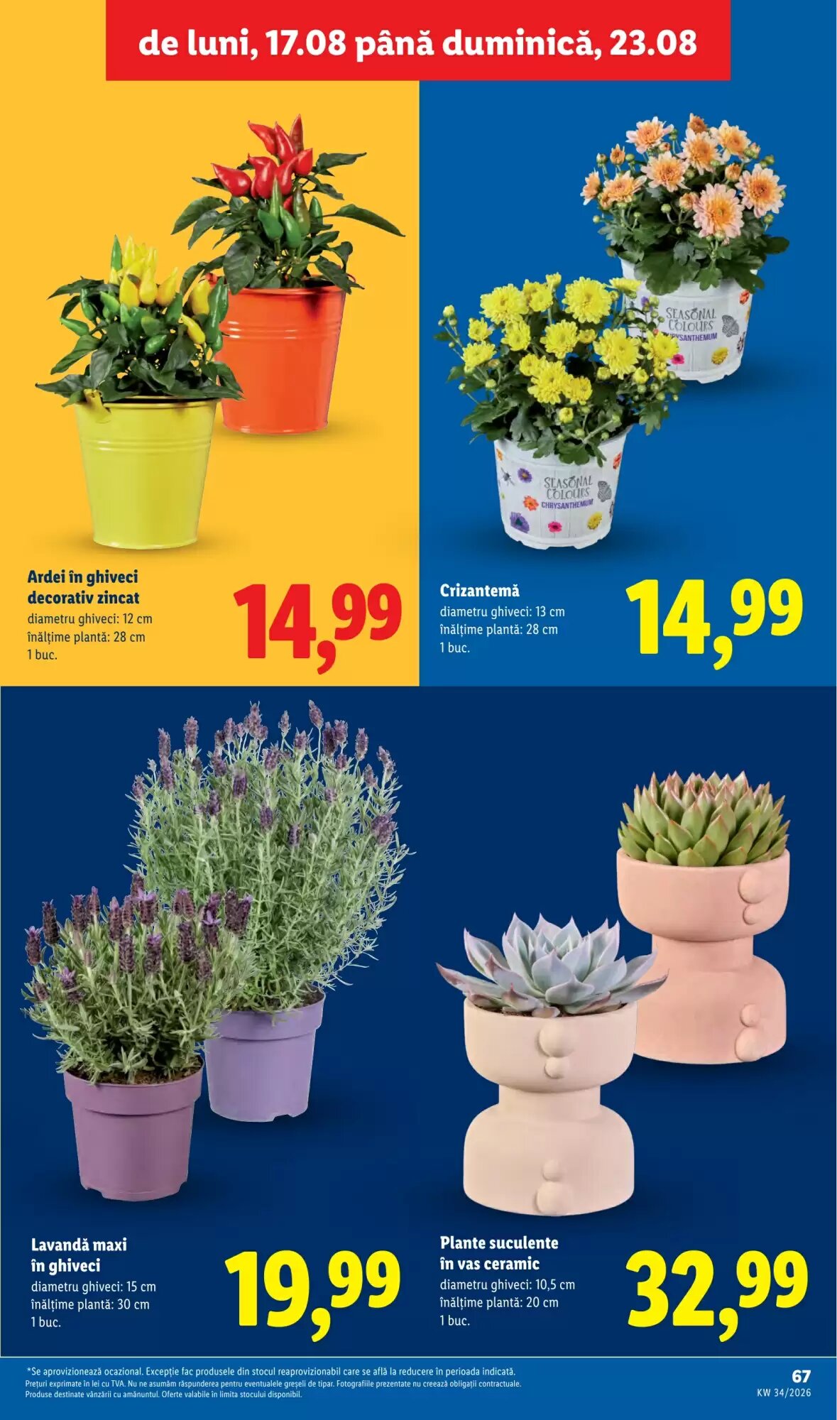 Catalogul cu oferte Lidl valabil de la 17.08.2026 - Pagina 67.