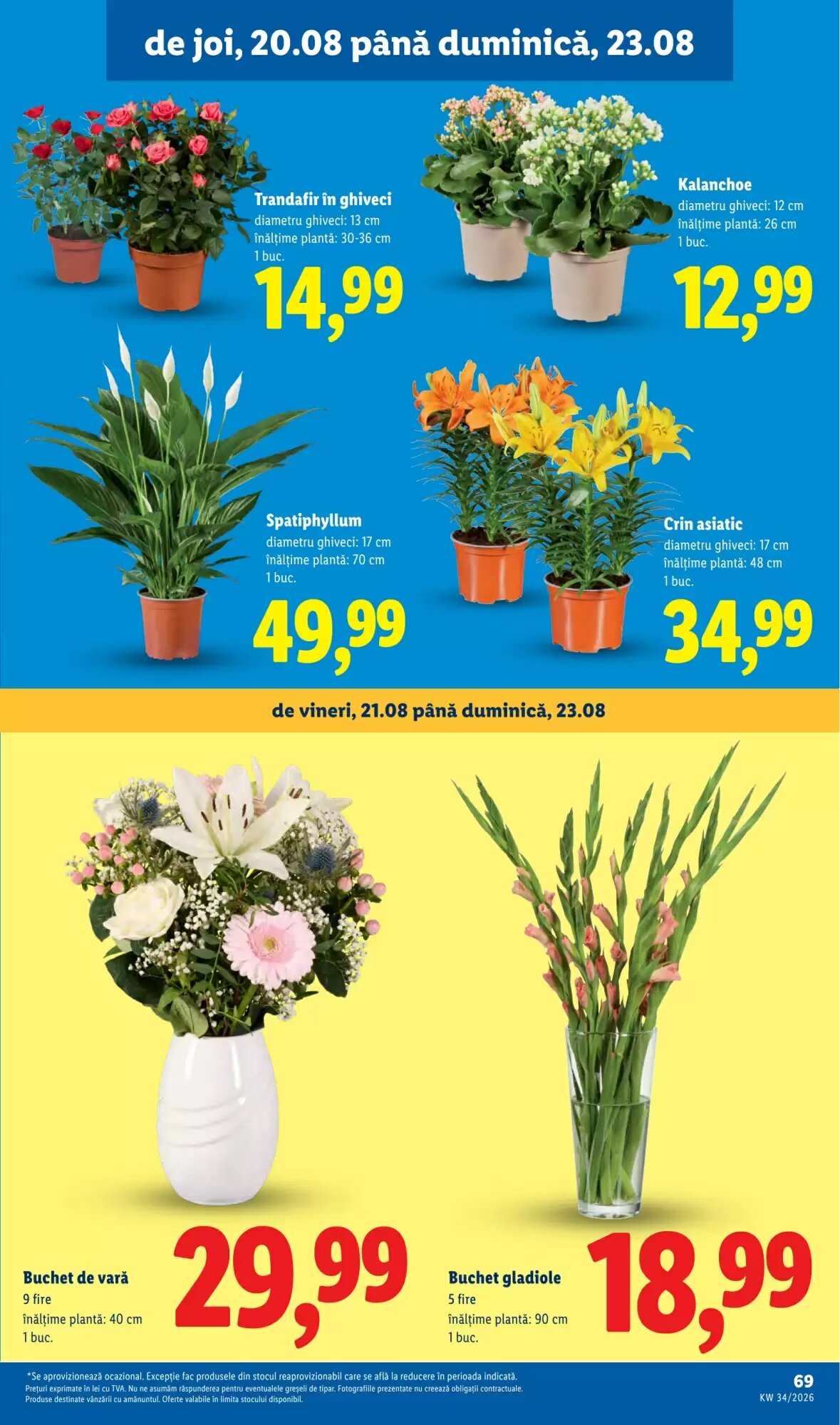 Catalogul cu oferte Lidl valabil de la 17.08.2026 - Pagina 69.