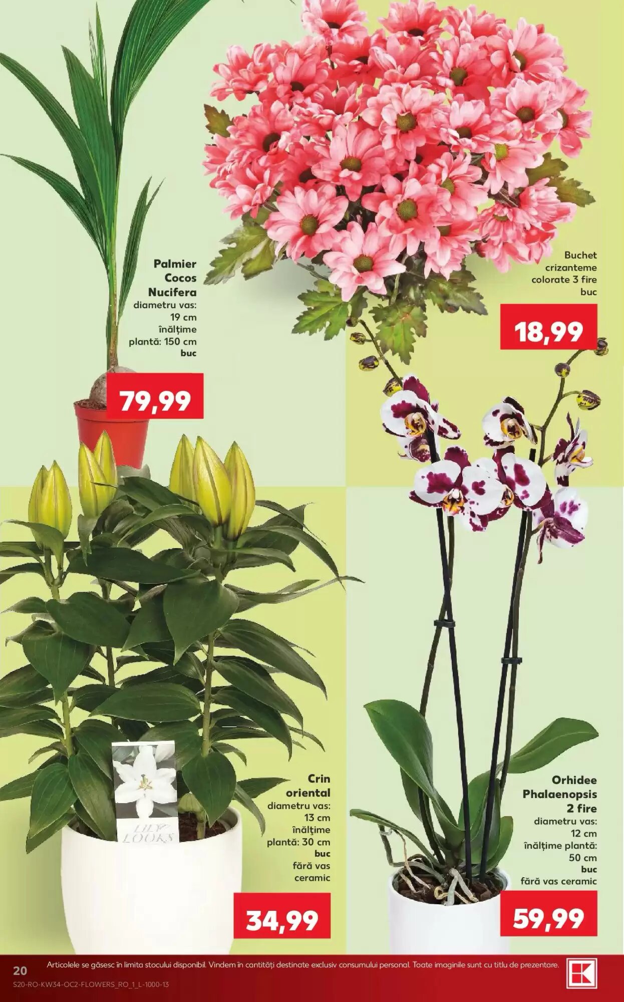 Catalogul cu oferte Kaufland valabil de la 19.08.2026 - Pagina 20.