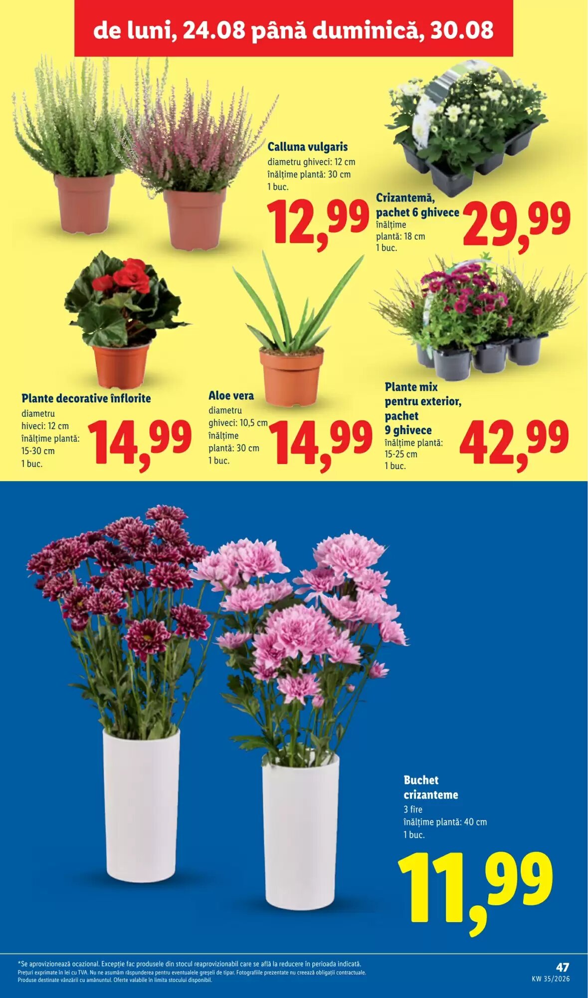 Catalogul cu oferte Lidl valabil de la 24.08.2026 - Pagina 47.