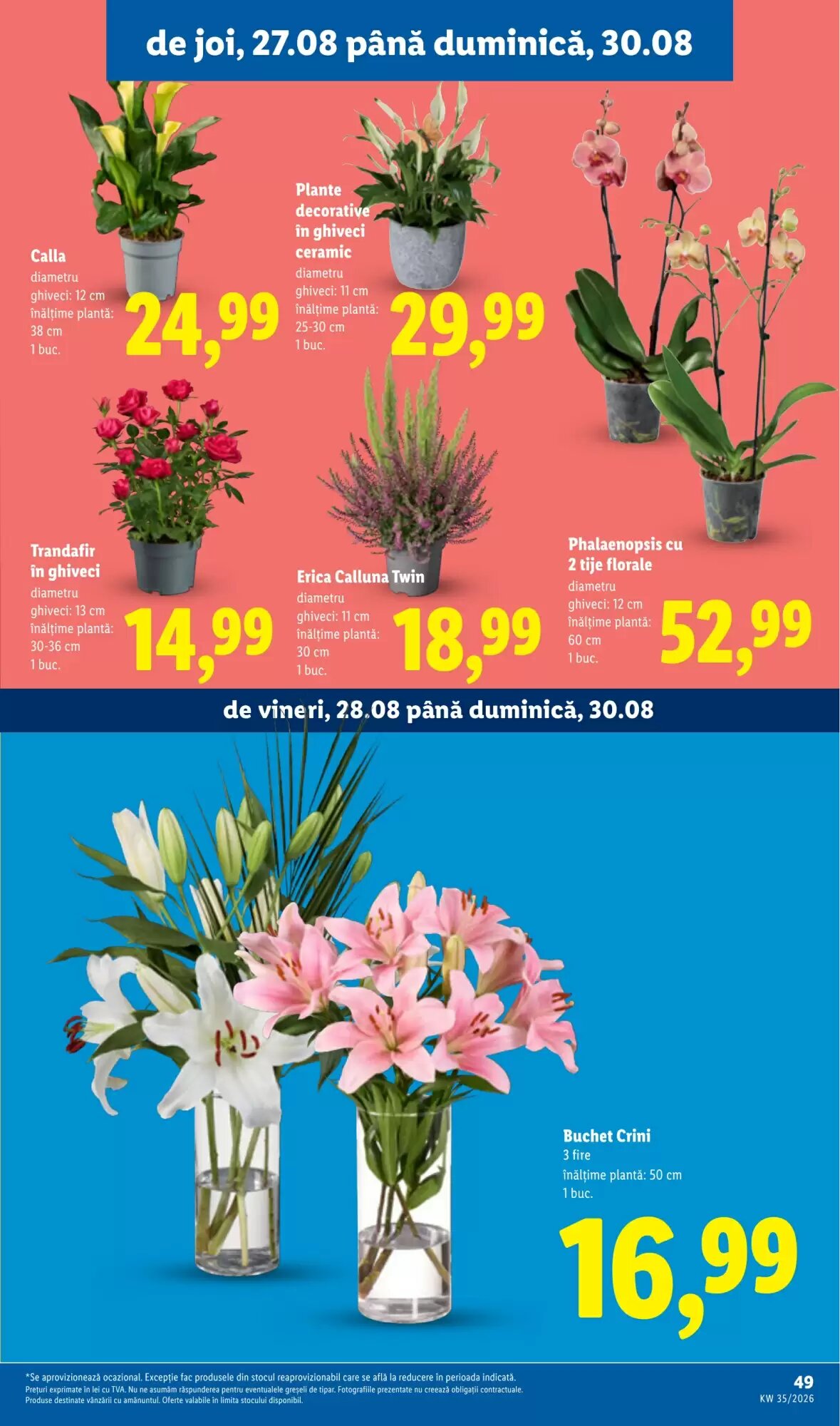 Catalogul cu oferte Lidl valabil de la 24.08.2026 - Pagina 49.