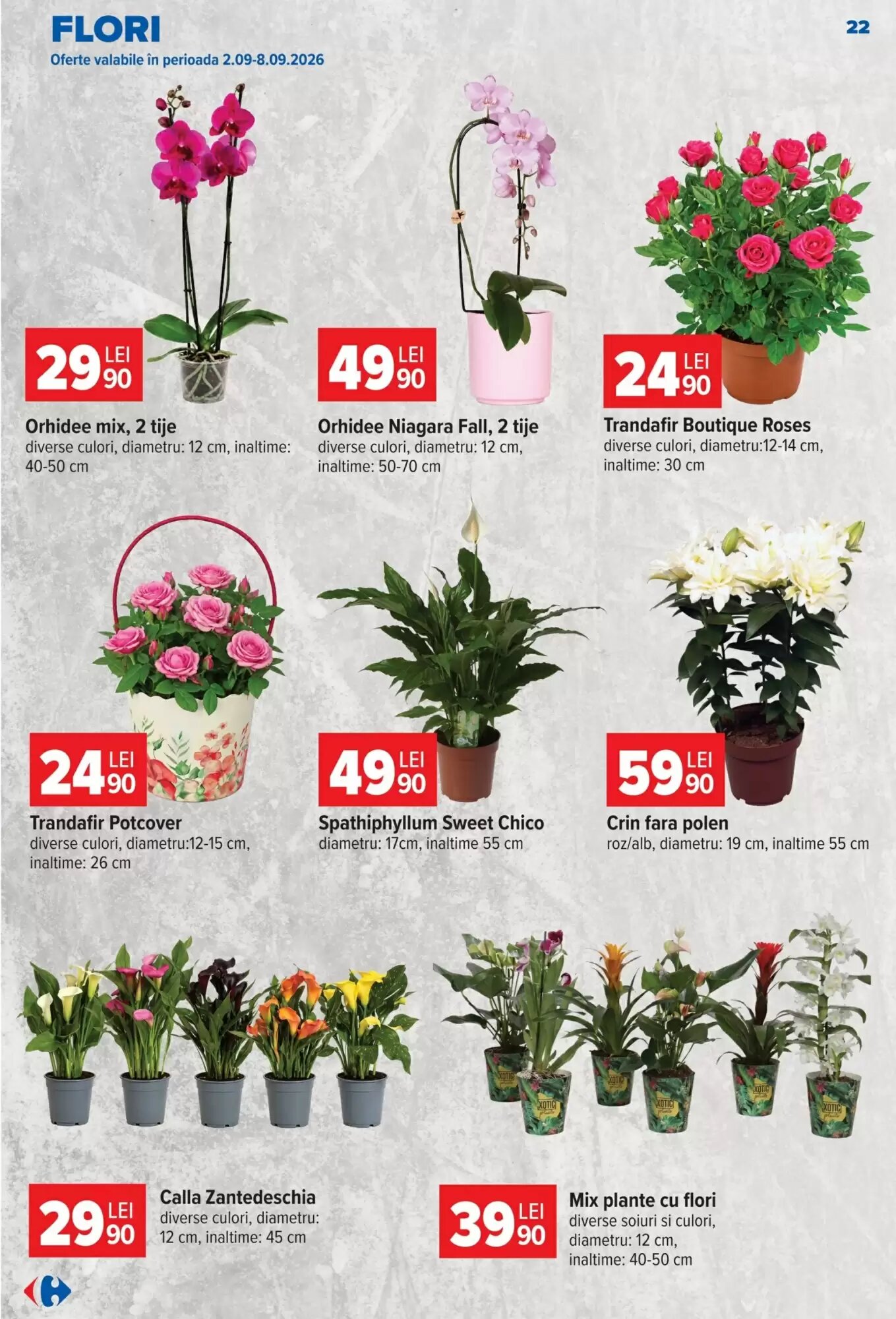 Catalogul cu oferte Carrefour valabil de la 26.08.2026 - Pagina 23.