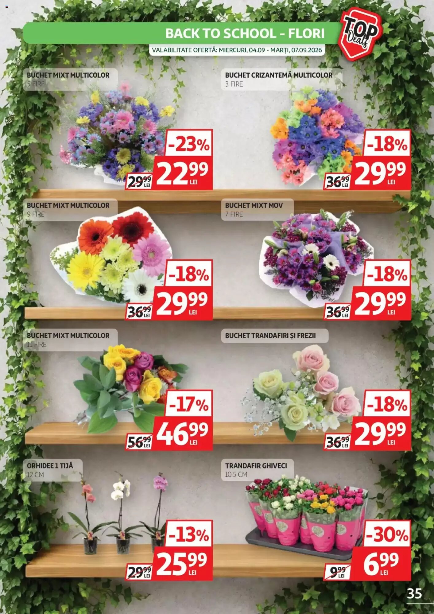 Catalogul cu oferte Auchan valabil de la 26.08.2026 - Pagina 35.