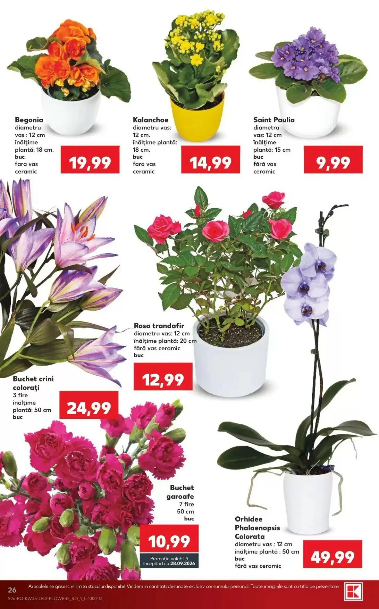Catalogul cu oferte Kaufland valabil de la 26.08.2026 - Pagina 26.