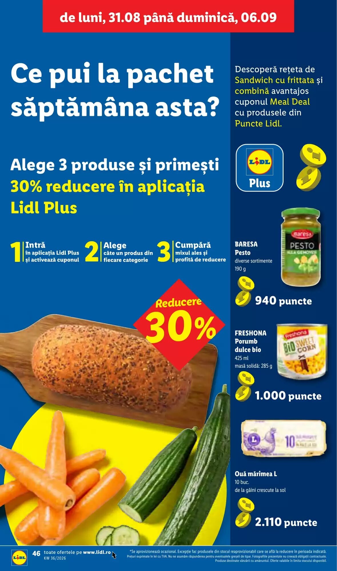 Catalogul cu oferte Lidl valabil de la 31.08.2026 - Pagina 44.
