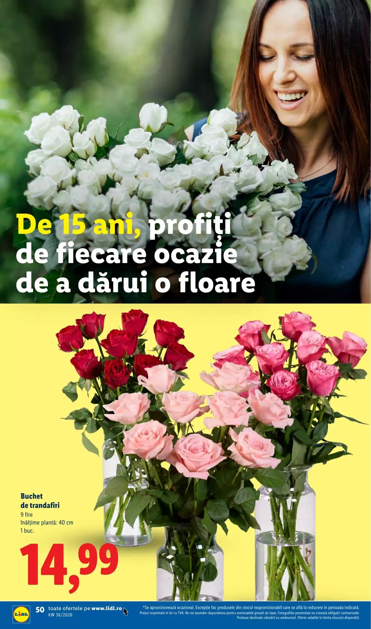 Catalogul cu oferte Lidl valabil de la 31.08.2026 - Pagina 48.