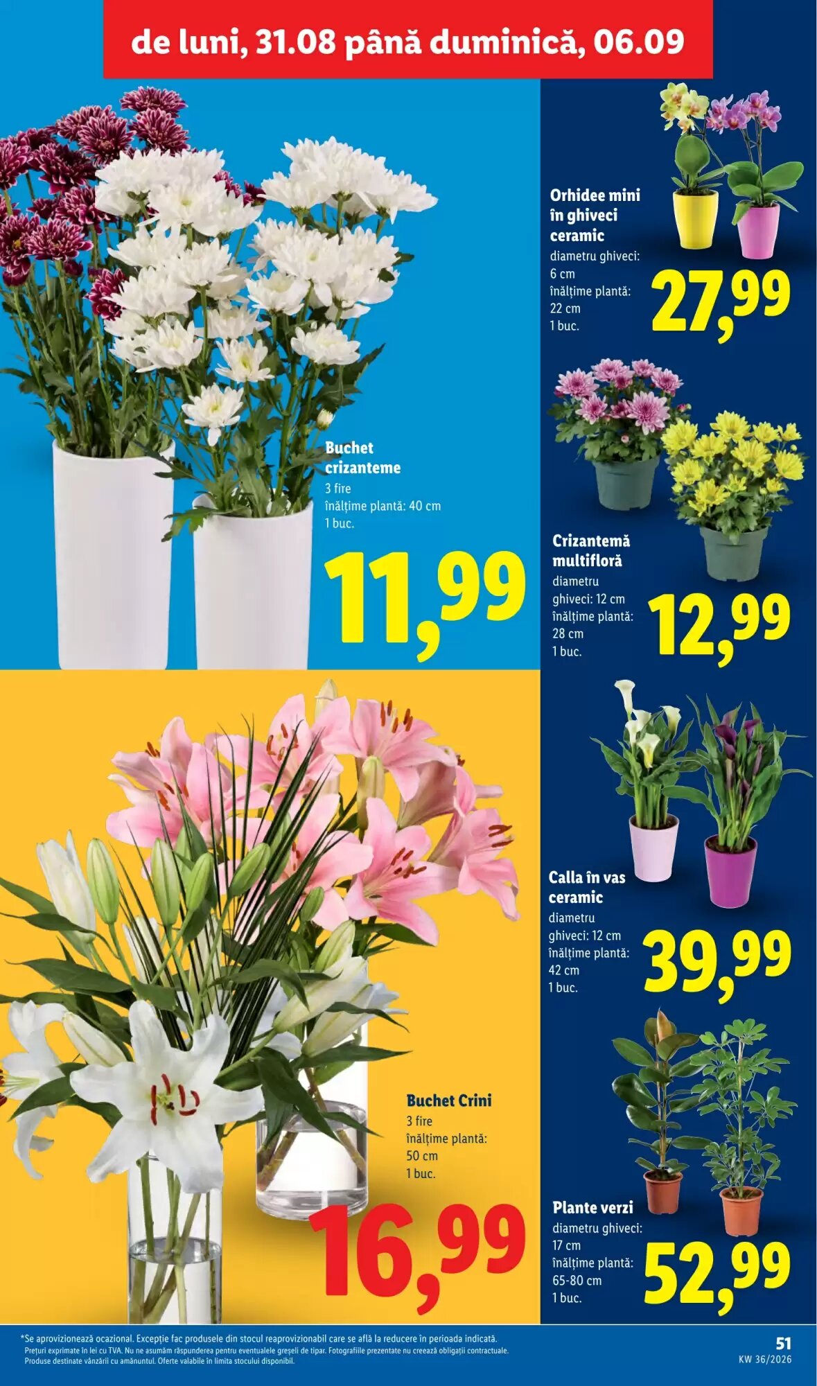 Catalogul cu oferte Lidl valabil de la 31.08.2026 - Pagina 49.