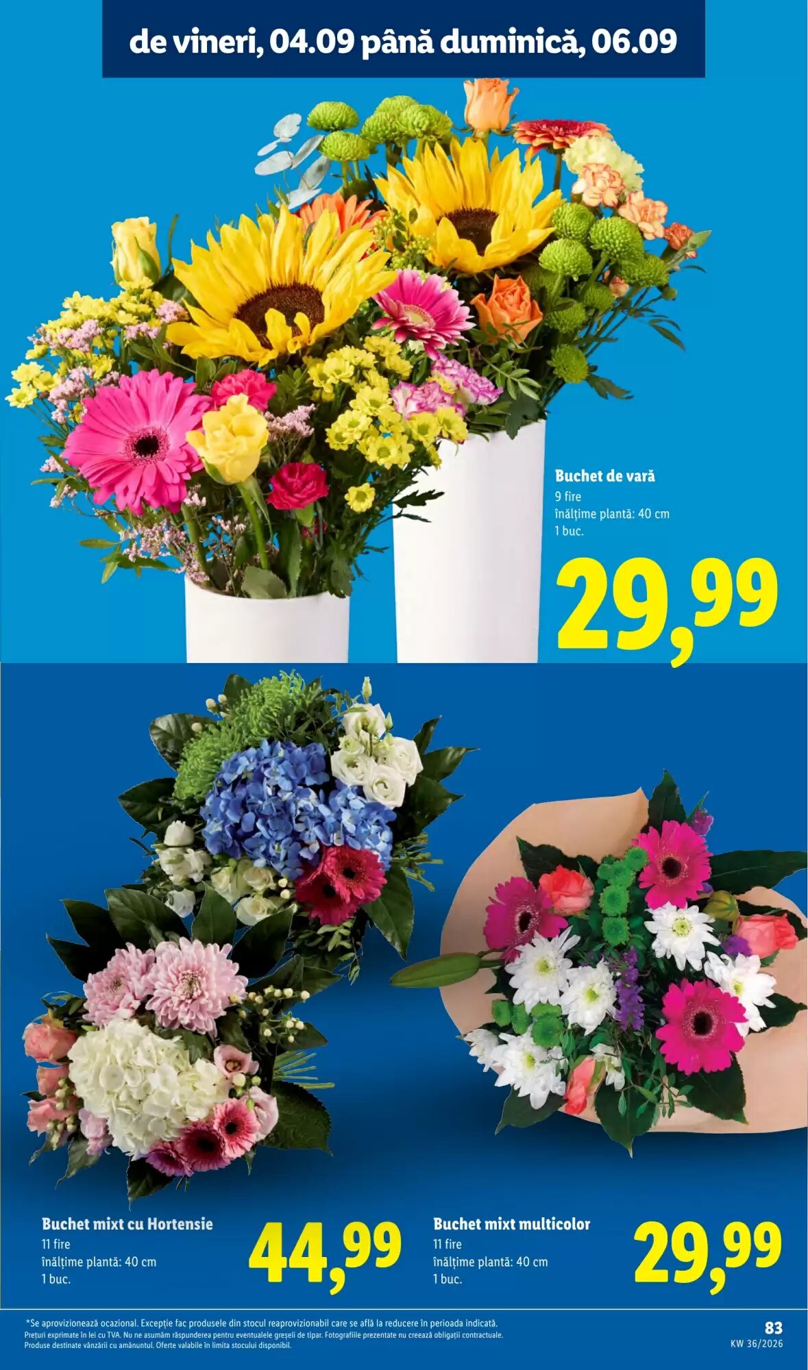 Catalogul cu oferte Lidl valabil de la 31.08.2026 - Pagina 81.