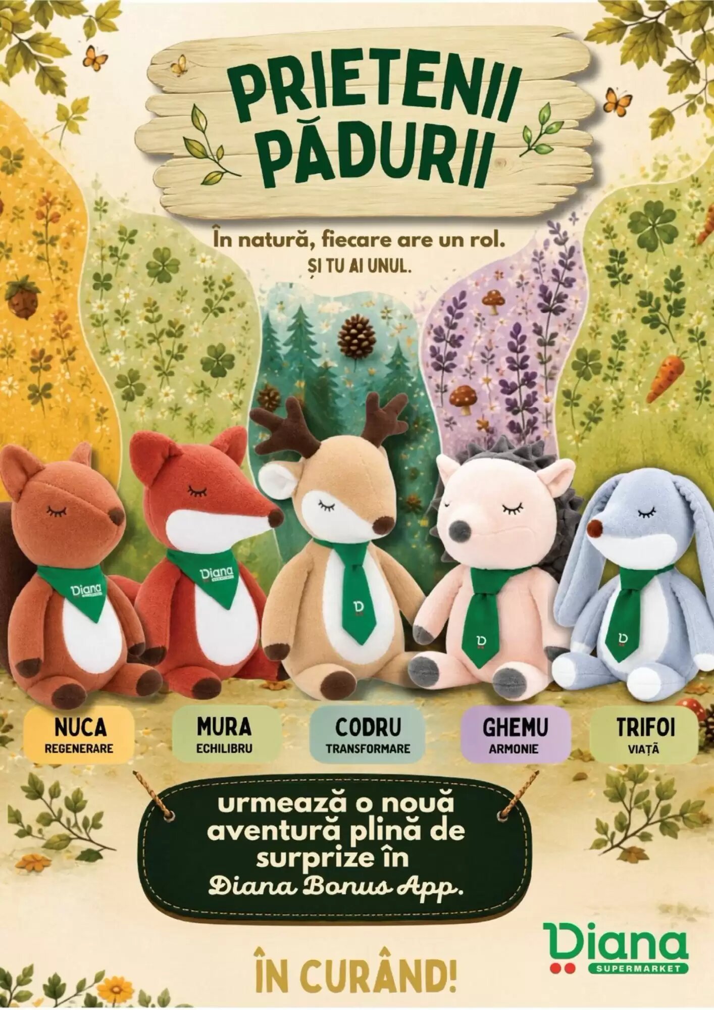 Catalogul cu oferte Diana Supermarket valabil de la 01.09.2026 - Pagina 8.