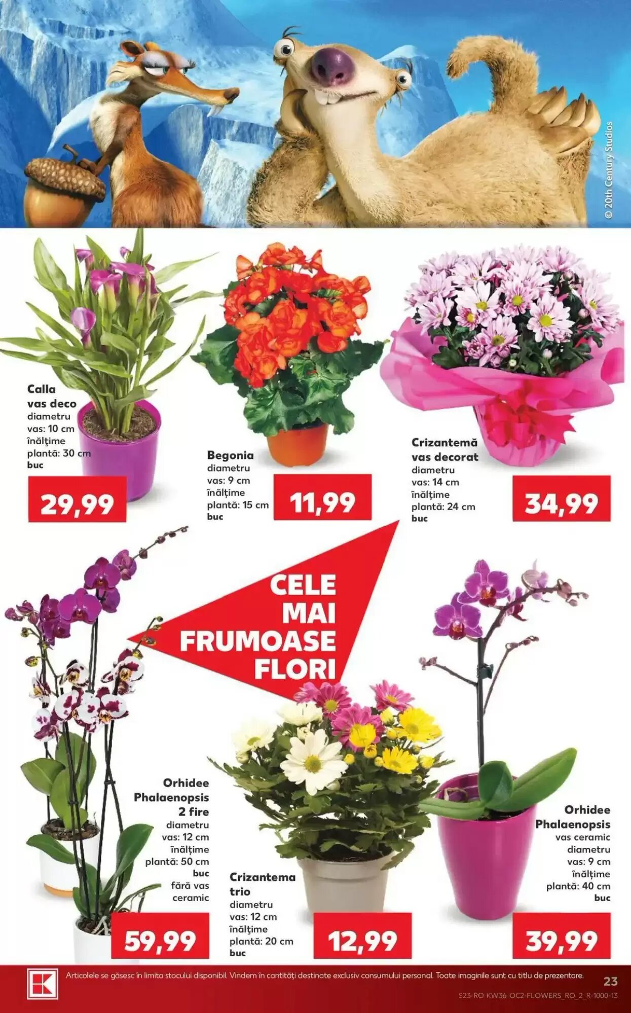 Catalogul cu oferte Kaufland valabil de la 02.09.2026 - Pagina 23.