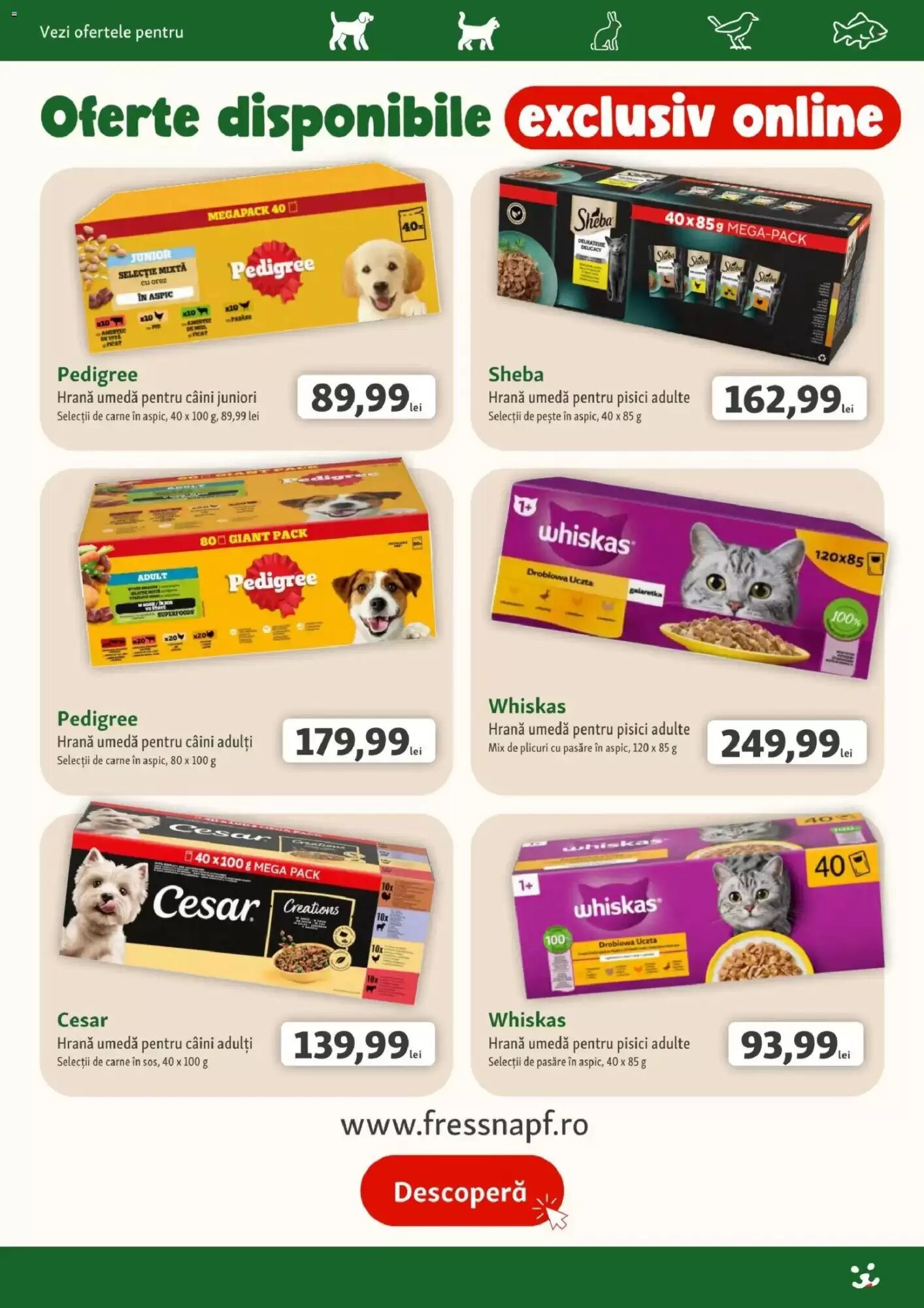 Catalogul cu oferte Fressnapf valabil de la 03.09.2026 - Pagina 15.