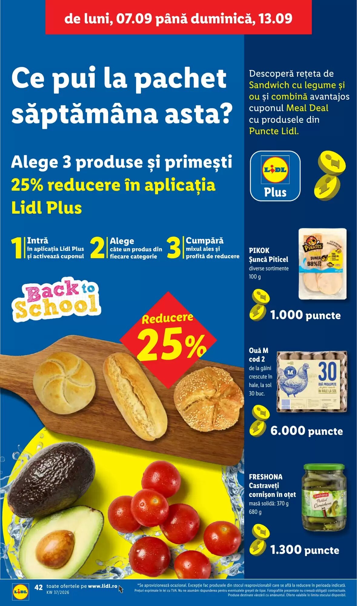 Catalogul cu oferte Lidl valabil de la 07.09.2026 - Pagina 42.