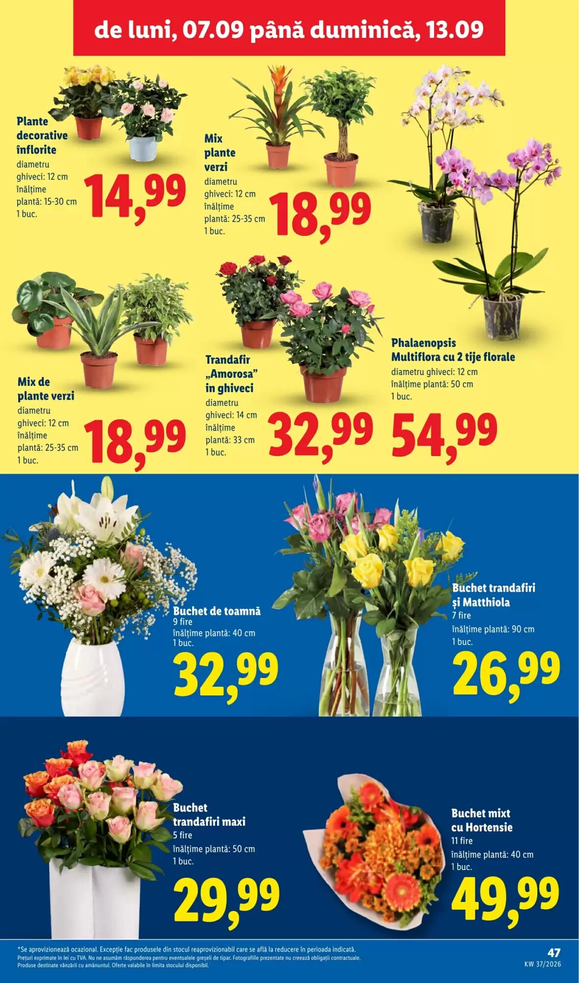 Catalogul cu oferte Lidl valabil de la 07.09.2026 - Pagina 47.