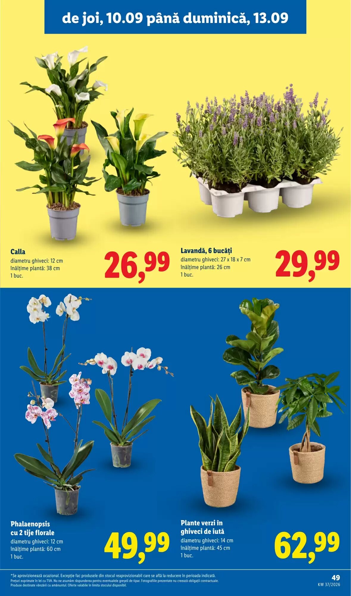 Catalogul cu oferte Lidl valabil de la 07.09.2026 - Pagina 49.