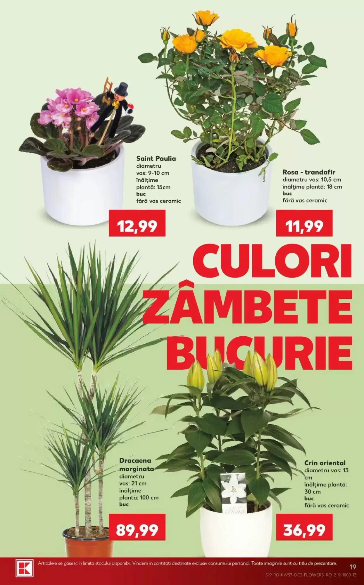 Catalogul cu oferte Kaufland valabil de la 09.09.2026 - Pagina 19.