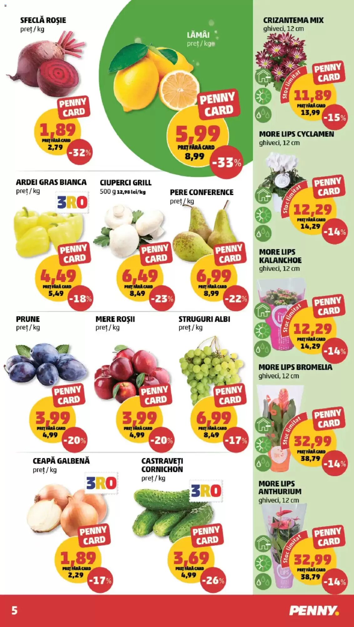 Catalogul cu oferte Penny valabil de la 09.09.2026 - Pagina 5.