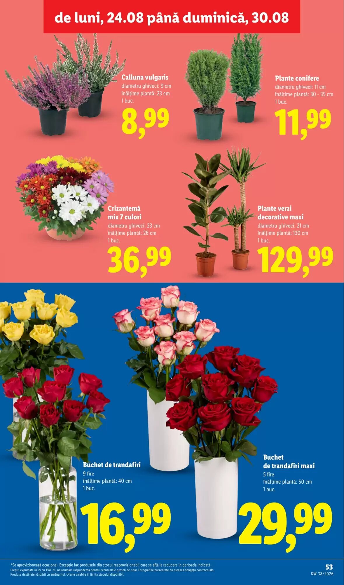 Catalogul cu oferte Lidl valabil de la 14.09.2026 - Pagina 53.