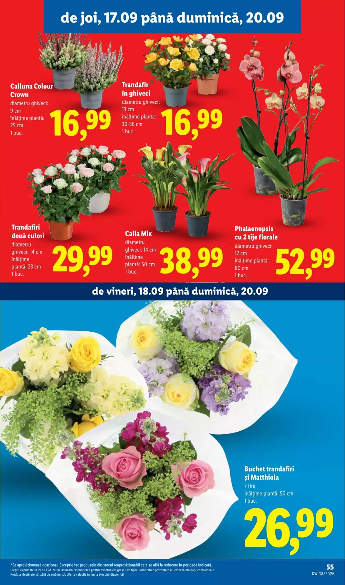 Catalogul cu oferte Lidl valabil de la 14.09.2026 - Pagina 55.