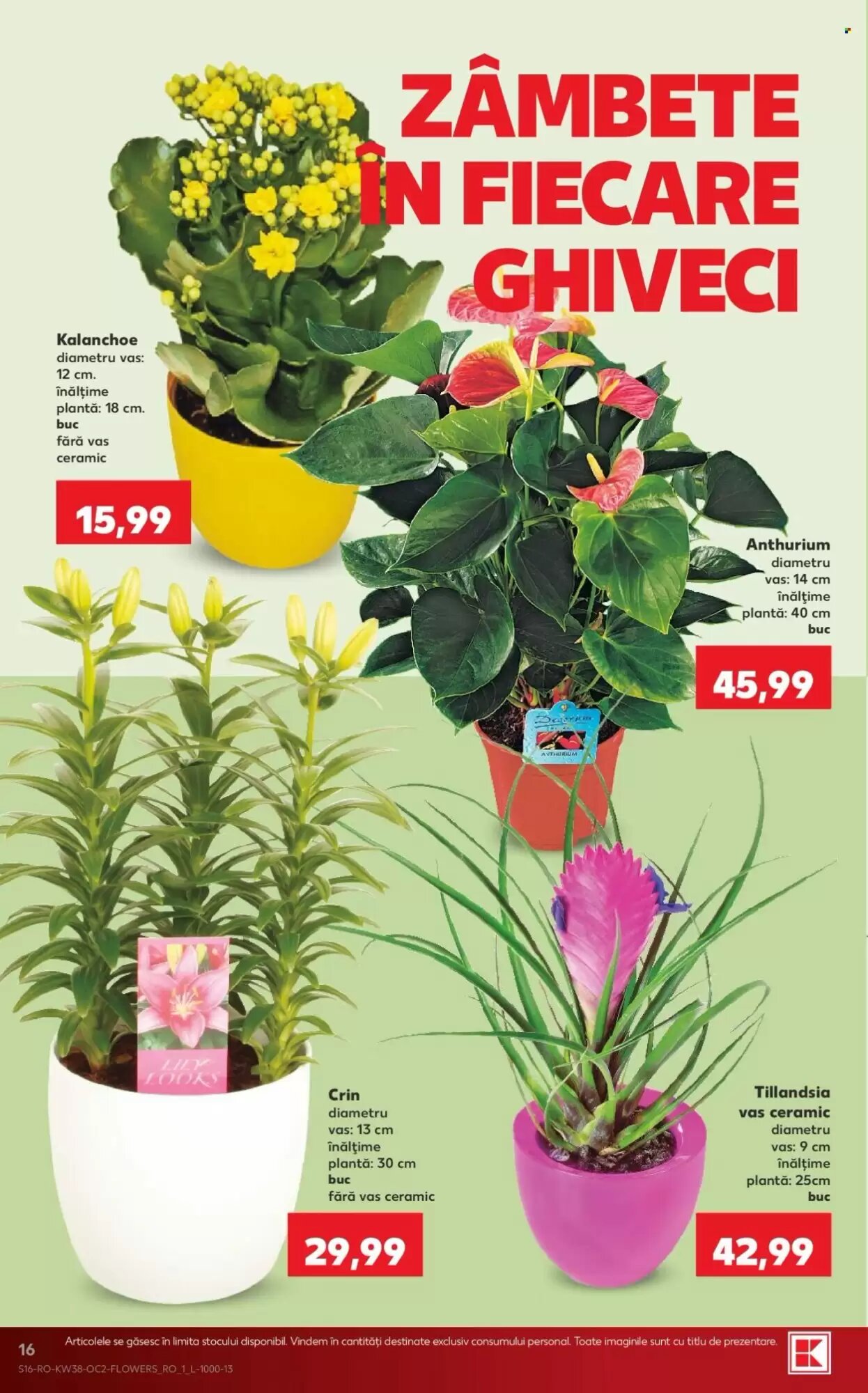 Catalogul cu oferte Kaufland valabil de la 16.09.2026 - Pagina 16.