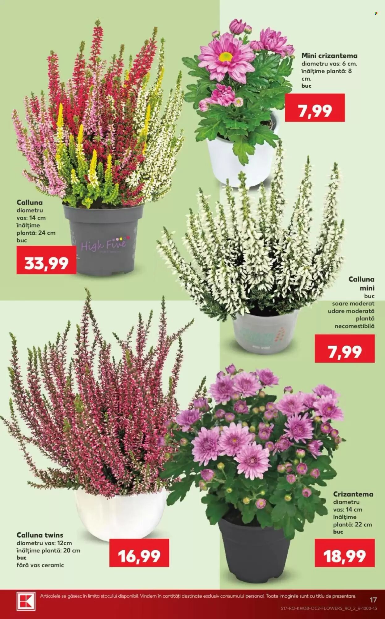 Catalogul cu oferte Kaufland valabil de la 16.09.2026 - Pagina 17.