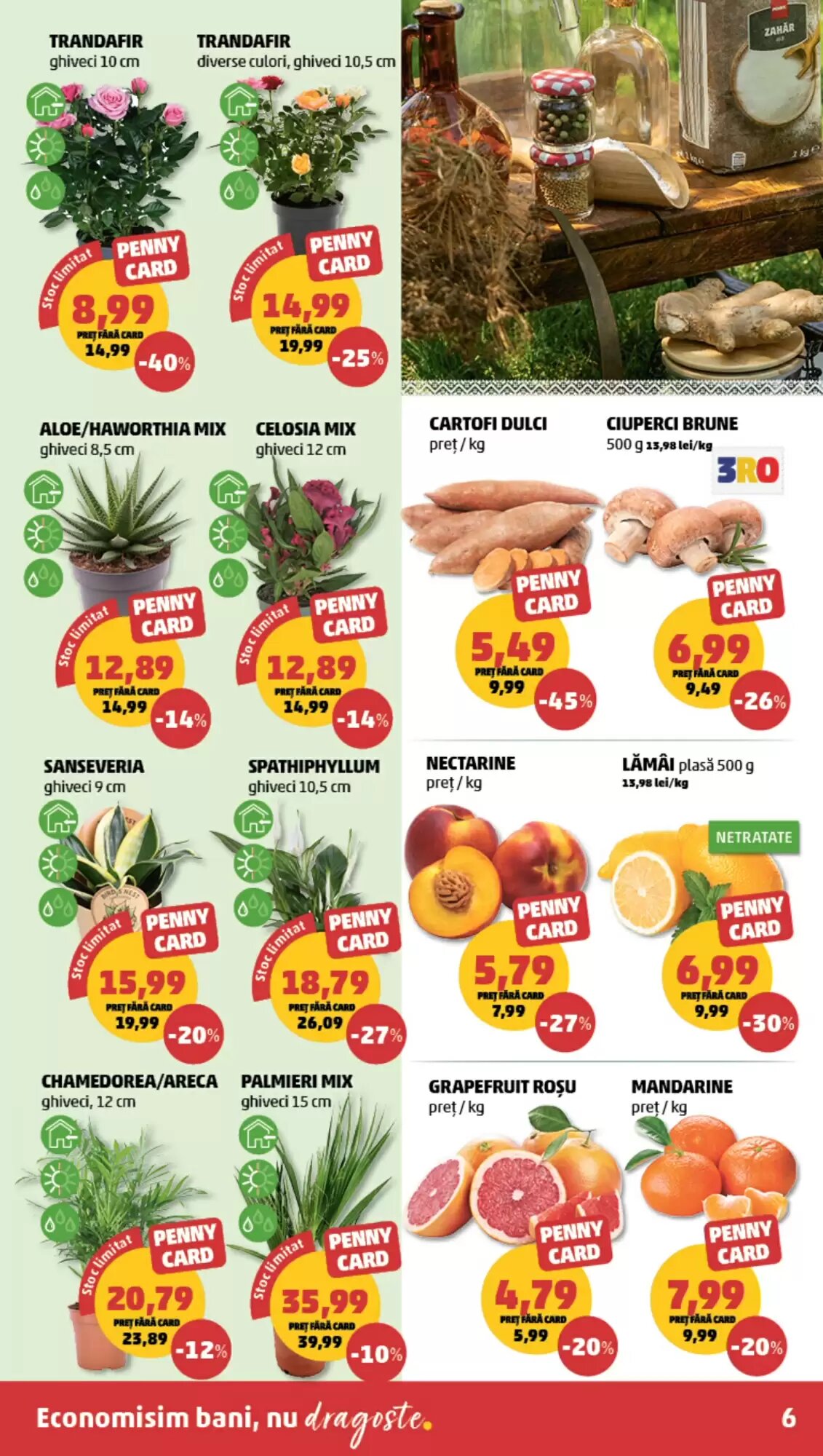 Catalogul cu oferte Penny valabil de la 16.09.2026 - Pagina 6.