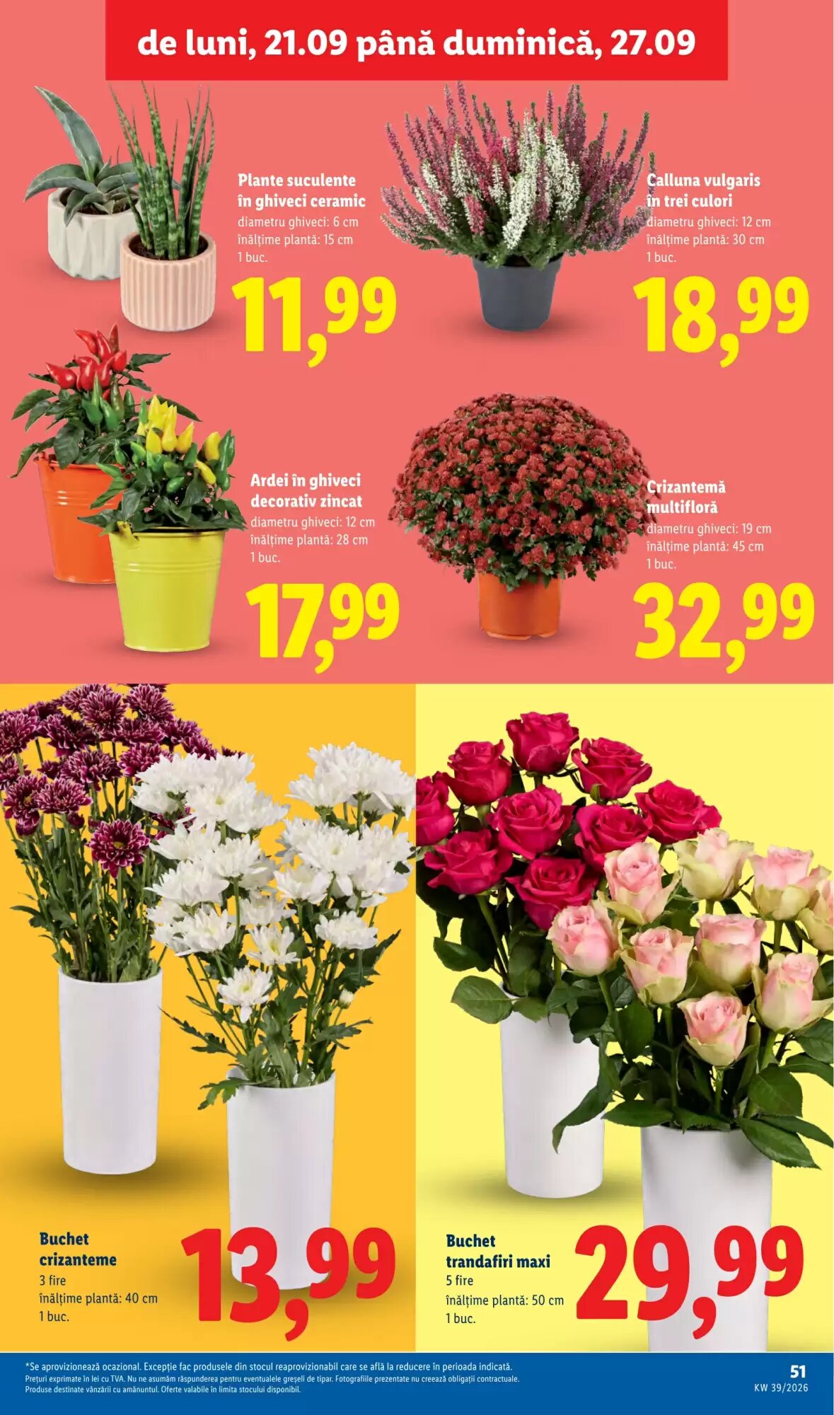 Catalogul cu oferte Lidl valabil de la 21.09.2026 - Pagina 51.
