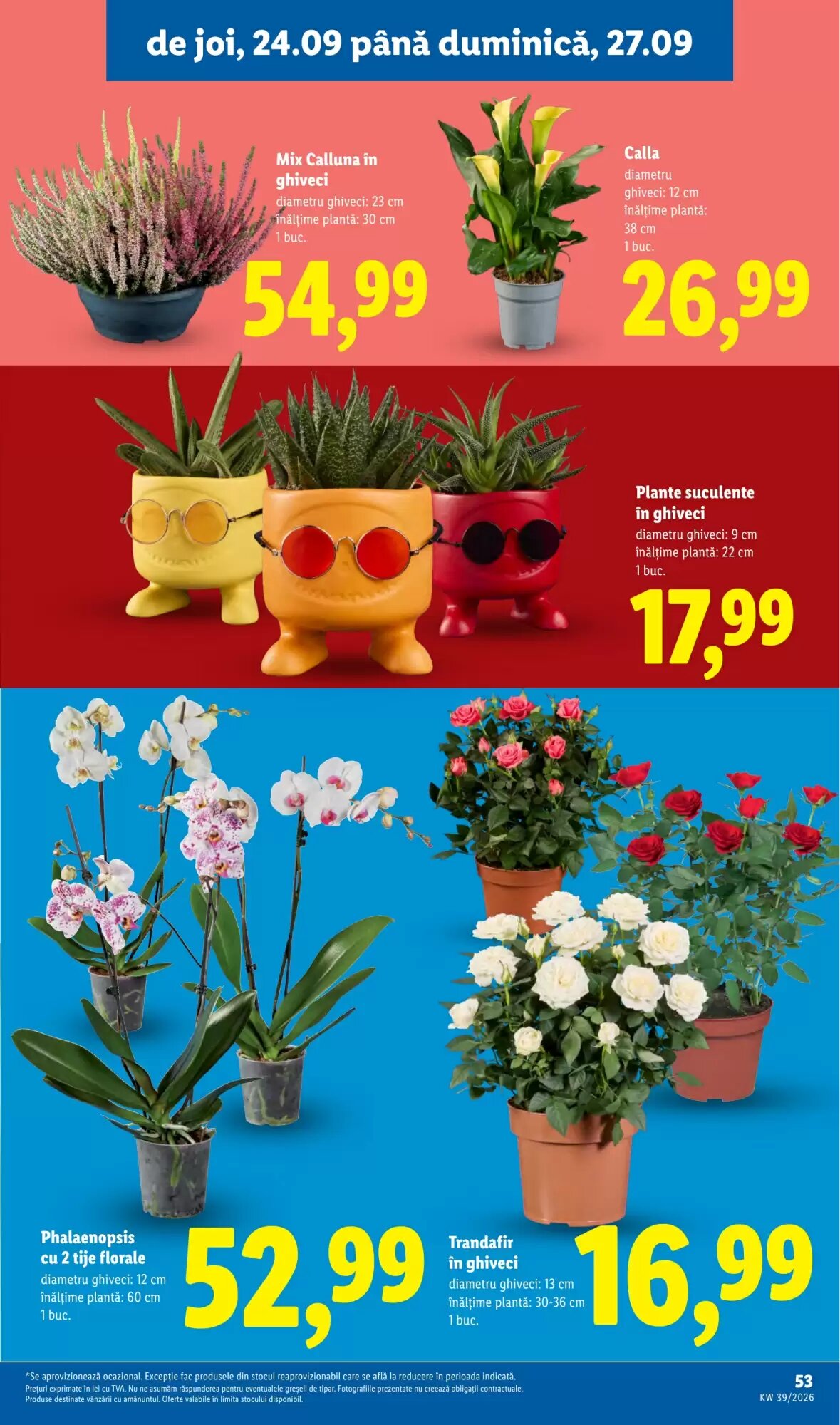 Catalogul cu oferte Lidl valabil de la 21.09.2026 - Pagina 53.