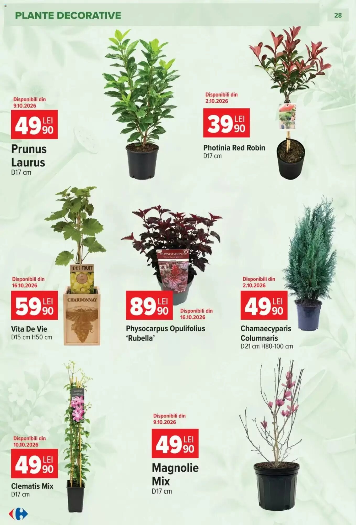 Catalogul cu oferte Carrefour valabil de la 23.09.2026 - Pagina 28.