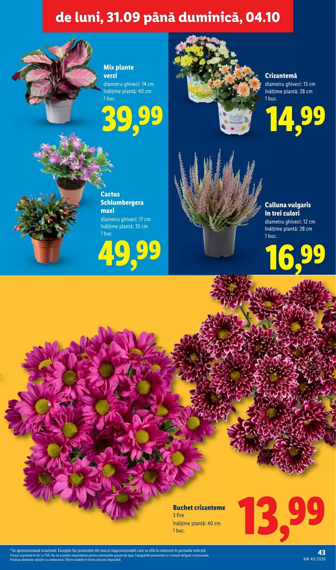 Catalogul cu oferte Lidl valabil de la 28.09.2026 - Pagina 43.