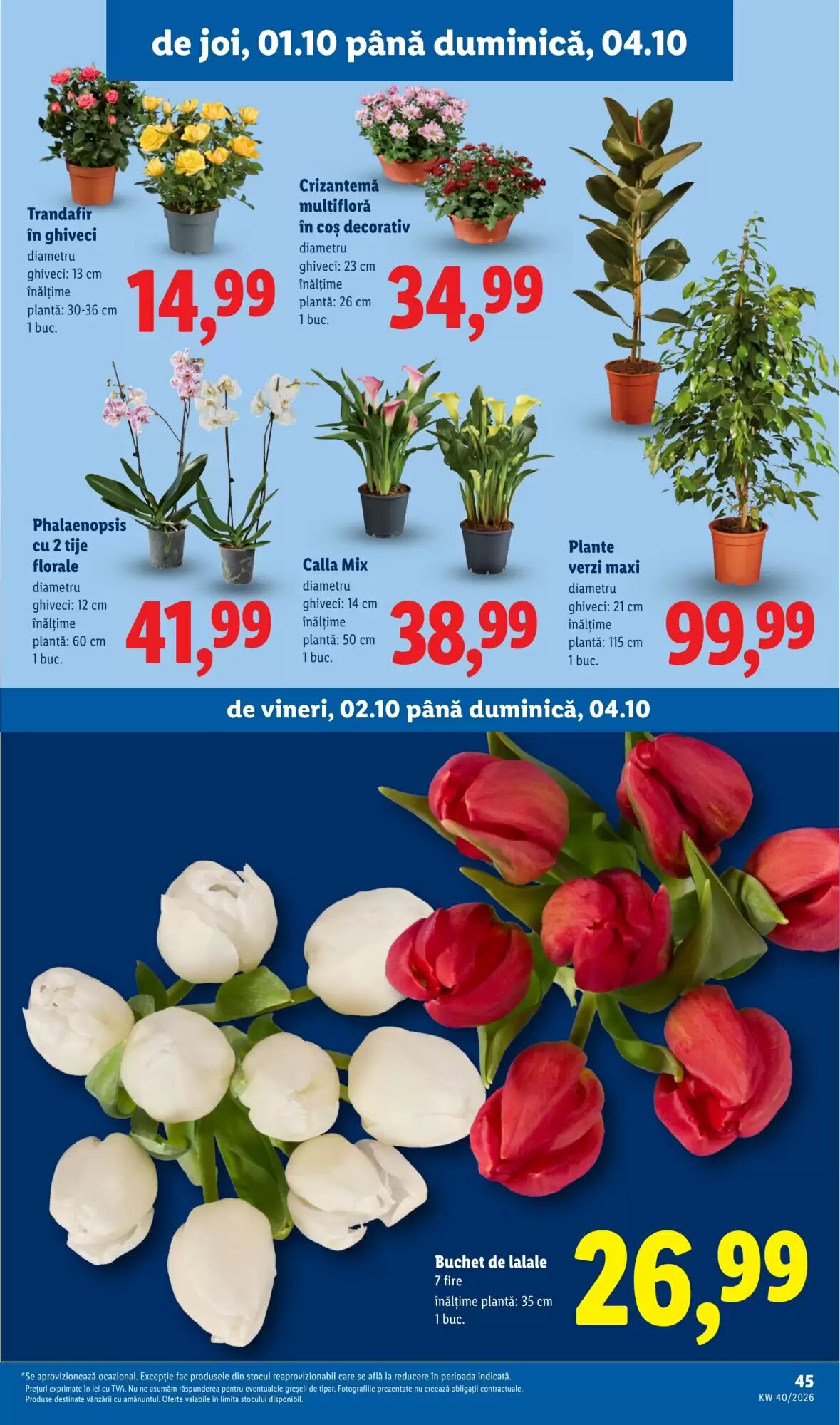 Catalogul cu oferte Lidl valabil de la 28.09.2026 - Pagina 45.
