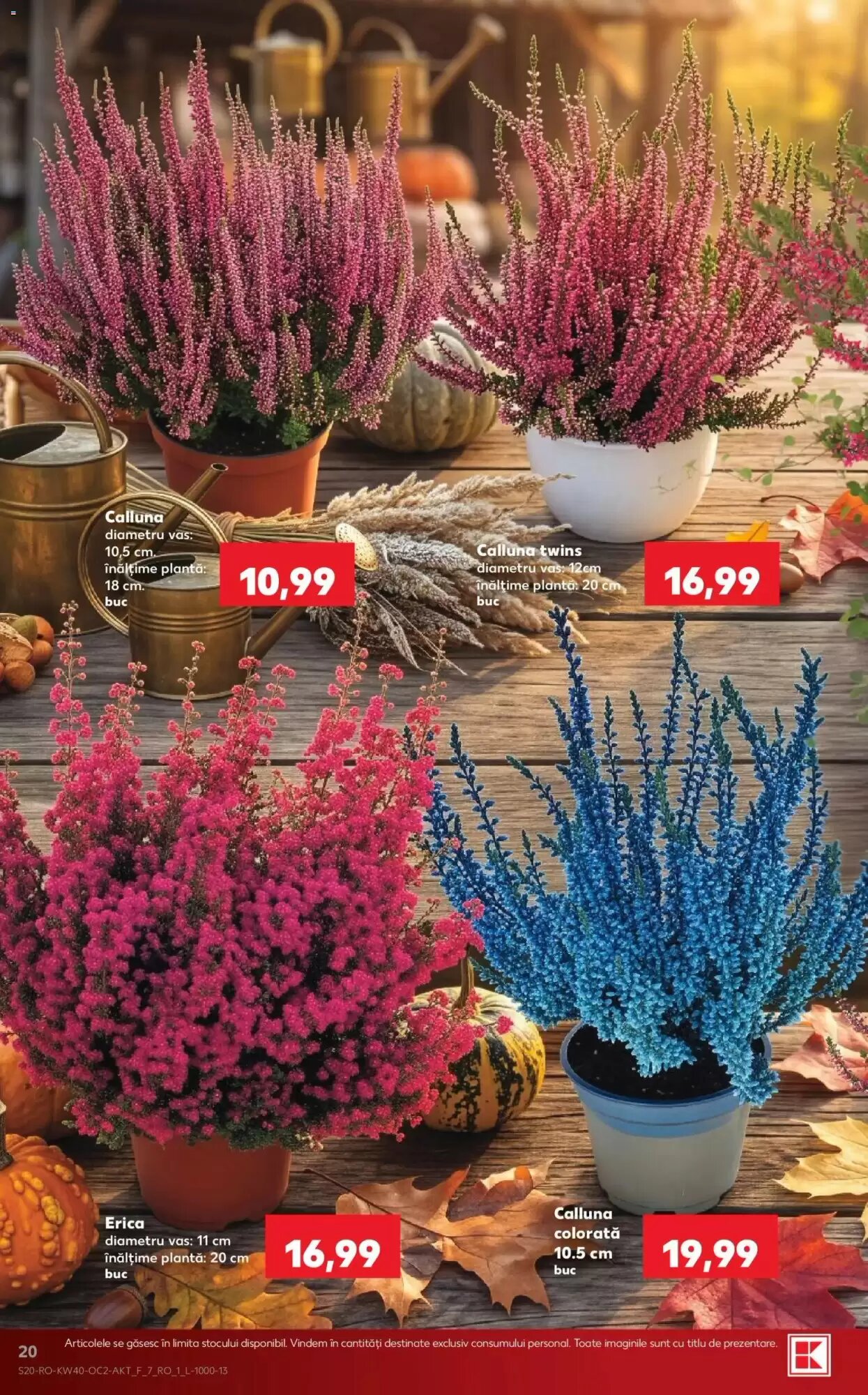 Catalogul cu oferte Kaufland valabil de la 30.09.2026 - Pagina 20.
