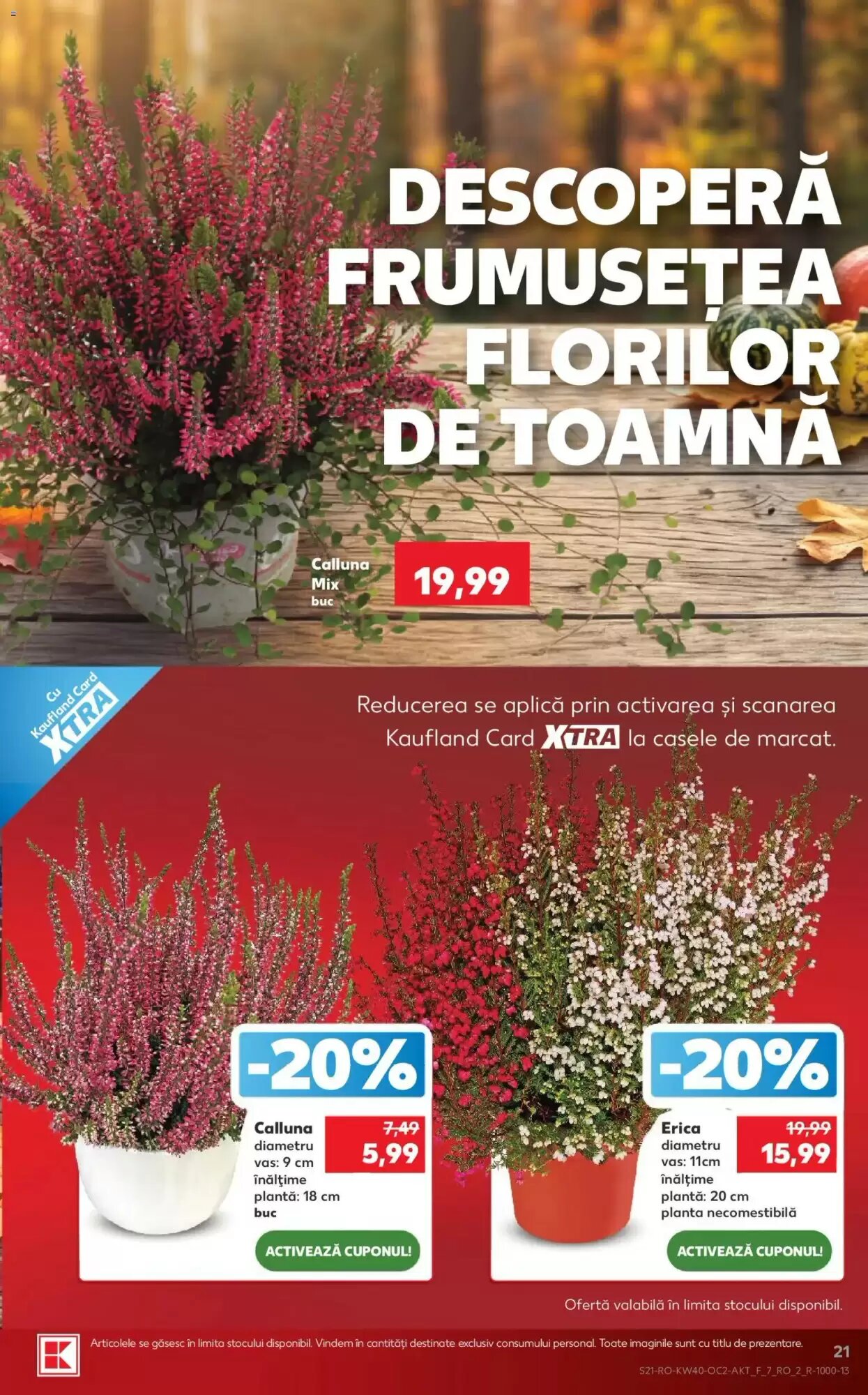 Catalogul cu oferte Kaufland valabil de la 30.09.2026 - Pagina 21.