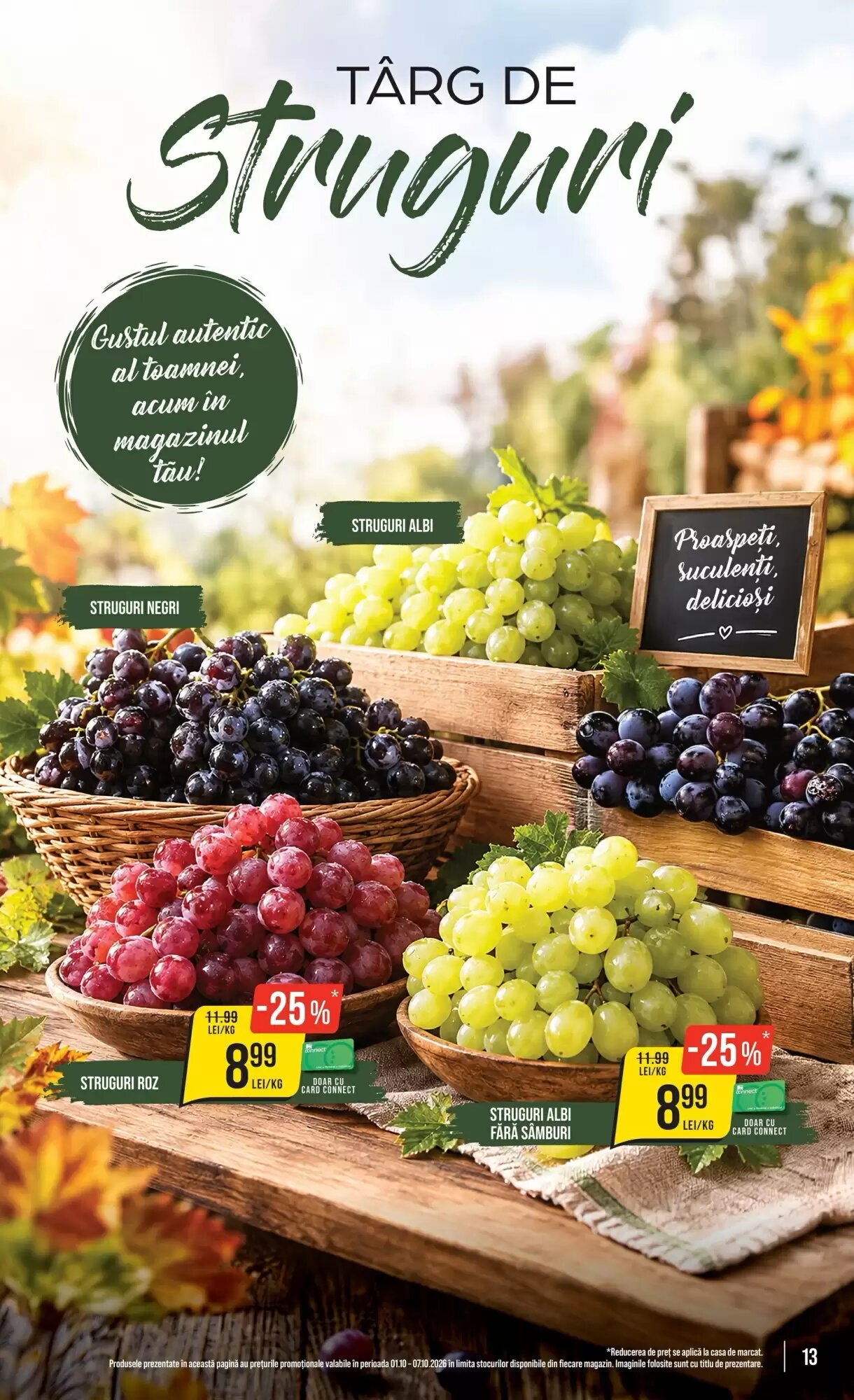 Catalogul cu oferte Mega Image valabil de la 01.10.2026 - Pagina 13.