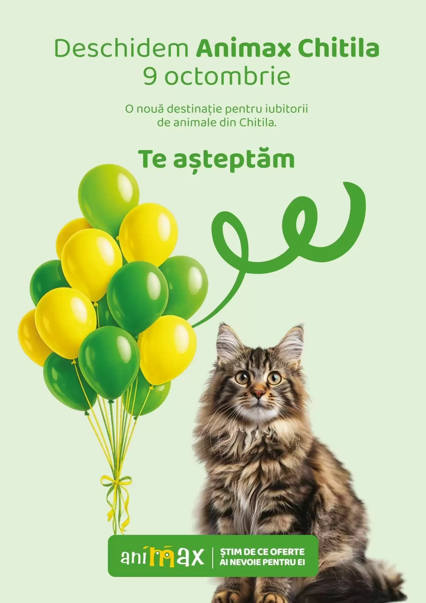 Catalogul cu oferte Animax valabil de la 01.10.2026 - Pagina 23.