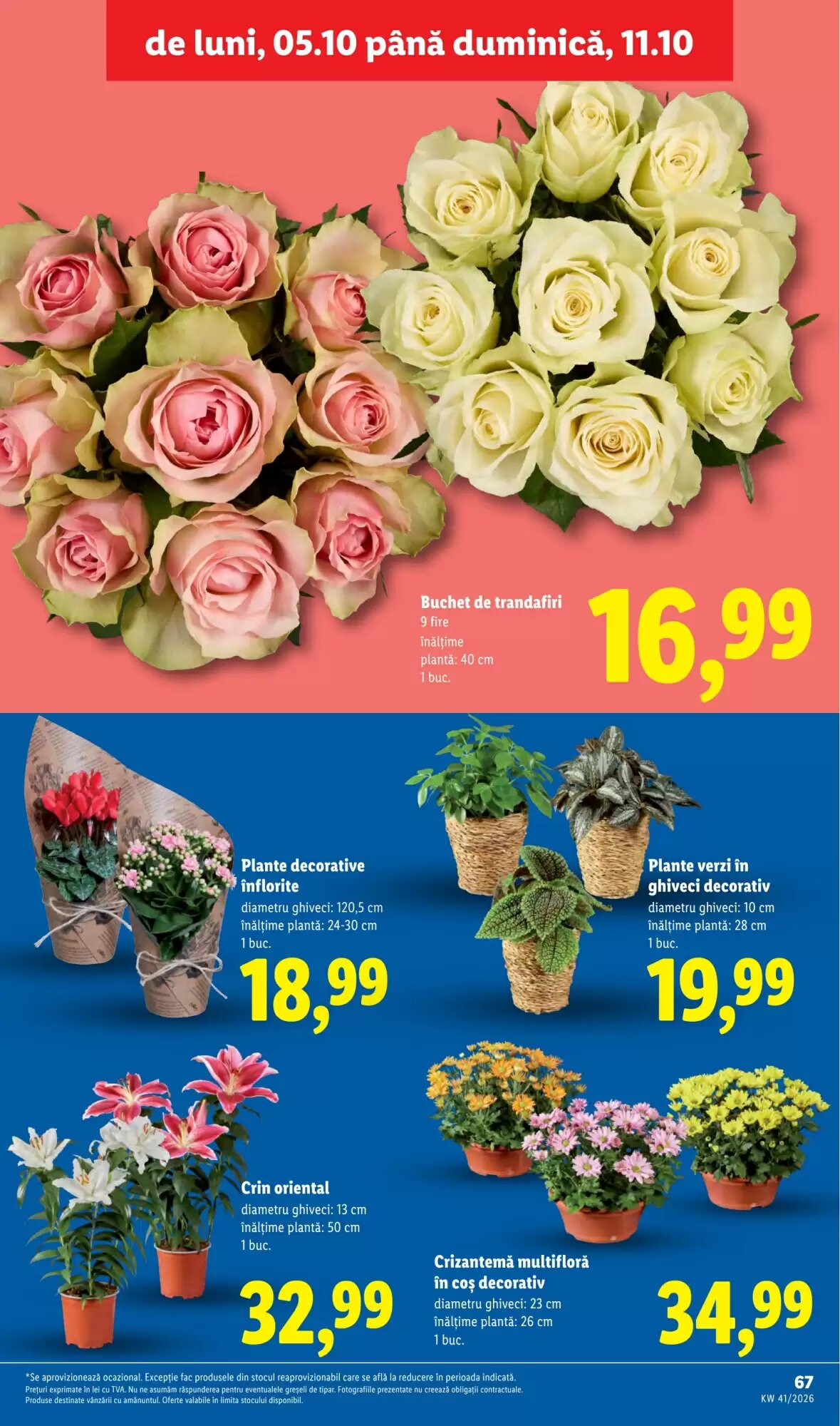 Catalogul cu oferte Lidl valabil de la 05.10.2026 - Pagina 67.