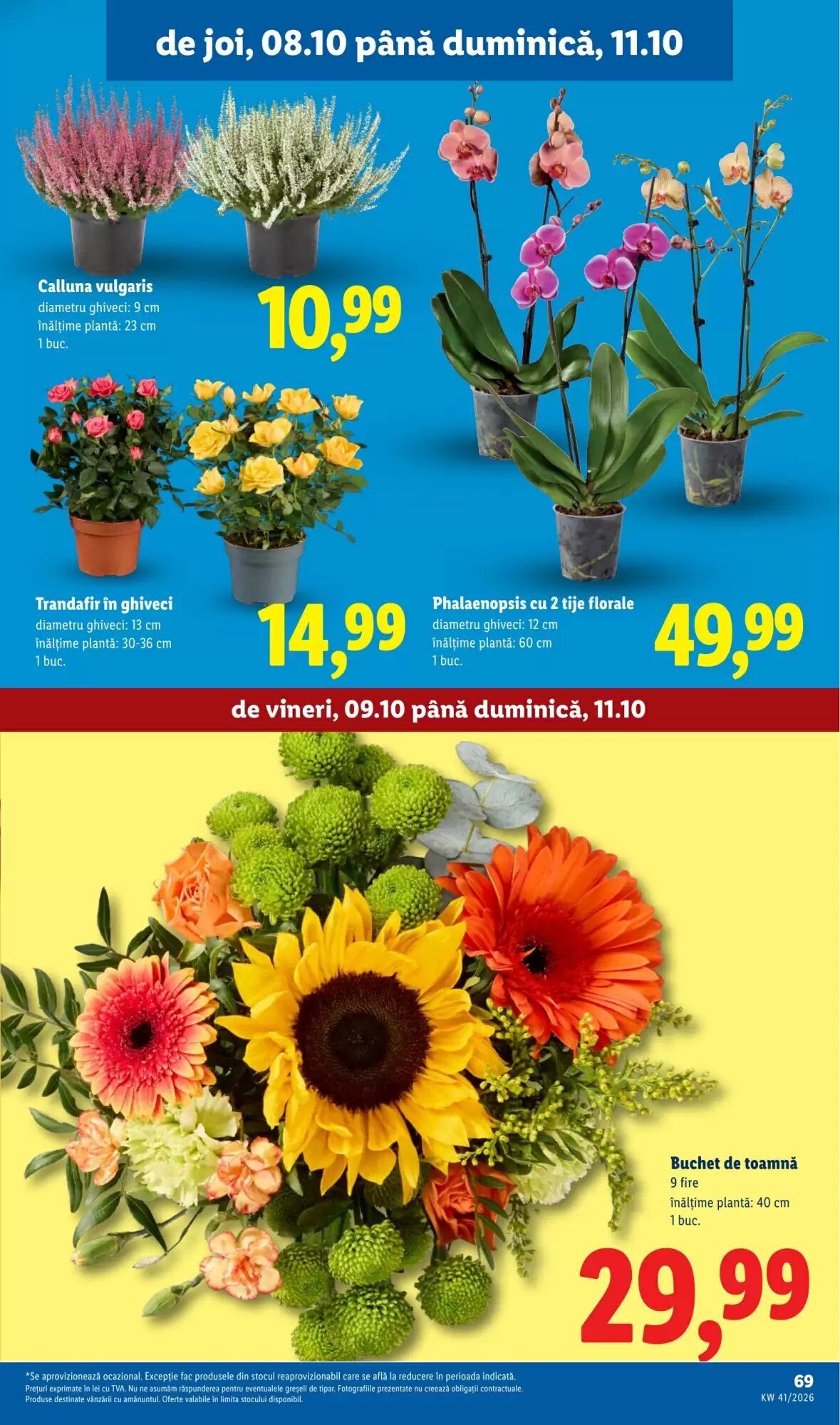 Catalogul cu oferte Lidl valabil de la 05.10.2026 - Pagina 69.