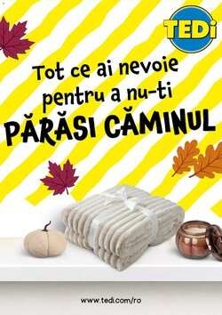 Catalogul cu oferte TEDI valabil de la 05.10.2026