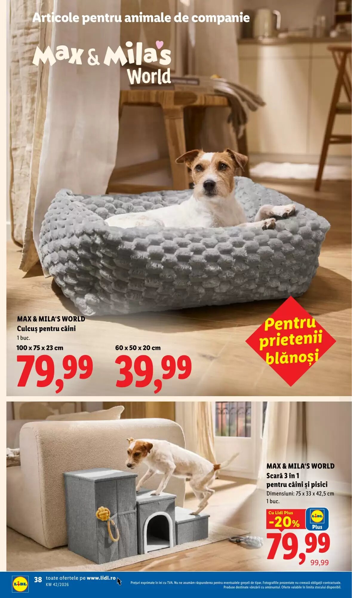 Catalogul cu oferte Lidl valabil de la 12.10.2026 - Pagina 38.