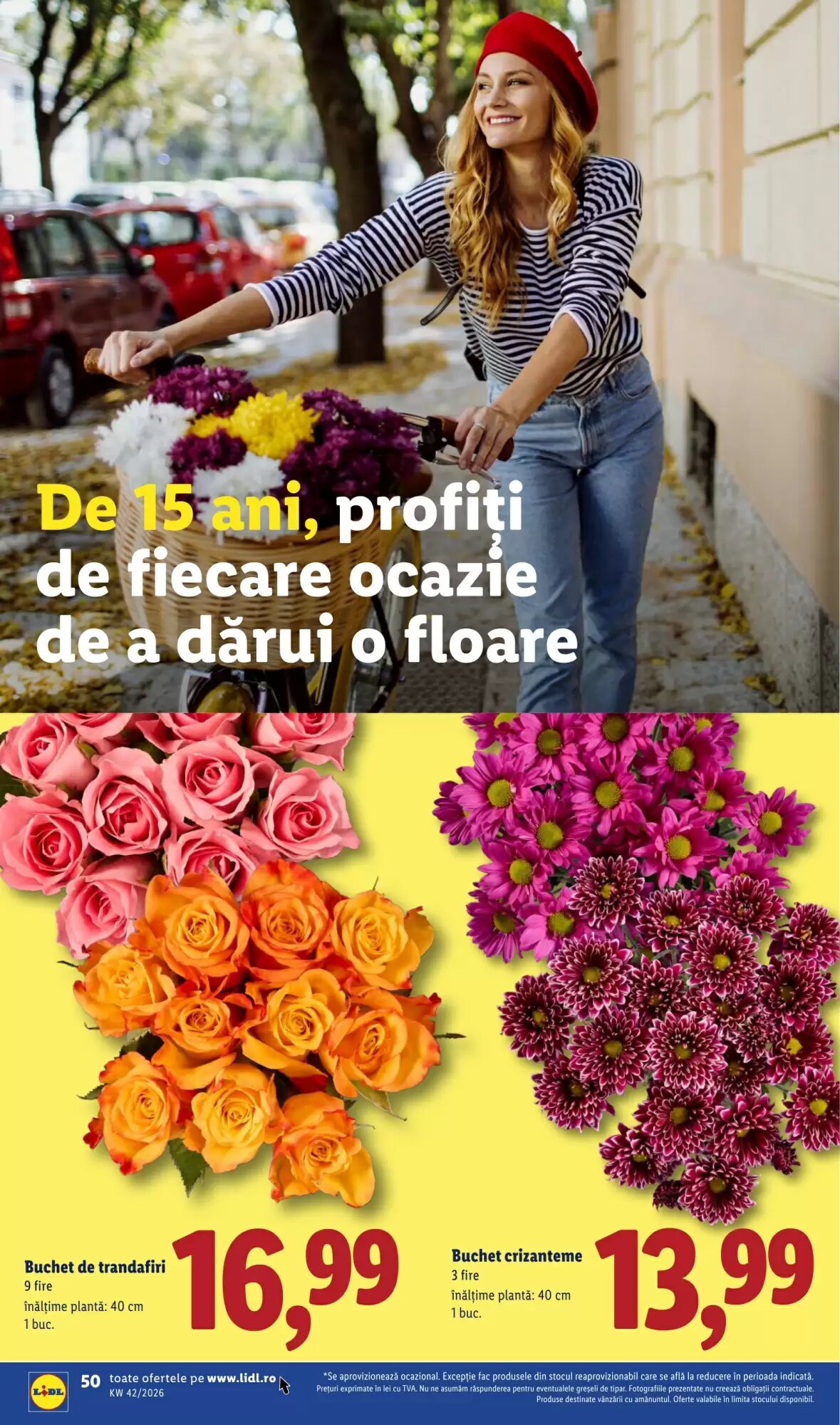 Catalogul cu oferte Lidl valabil de la 12.10.2026 - Pagina 50.
