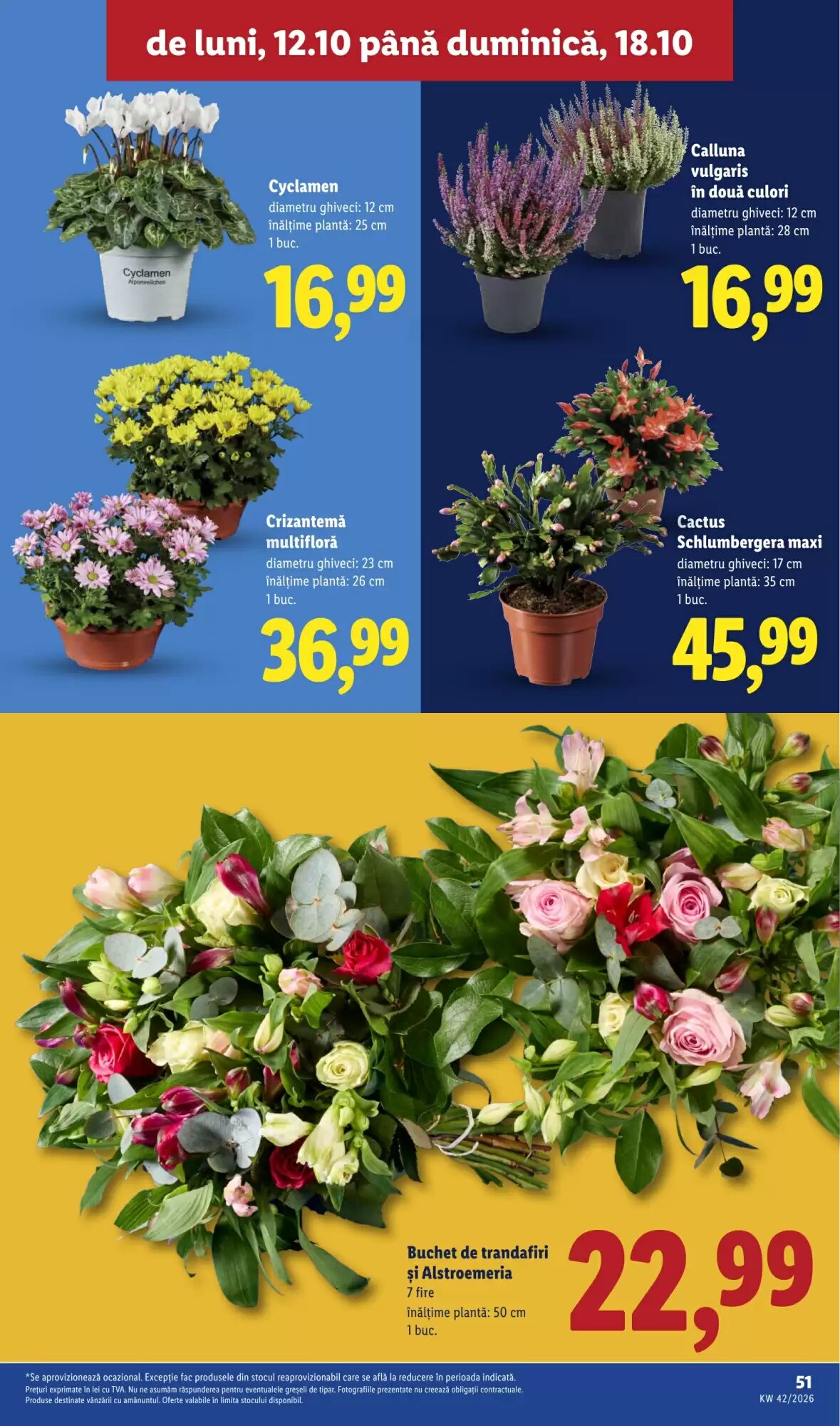 Catalogul cu oferte Lidl valabil de la 12.10.2026 - Pagina 51.
