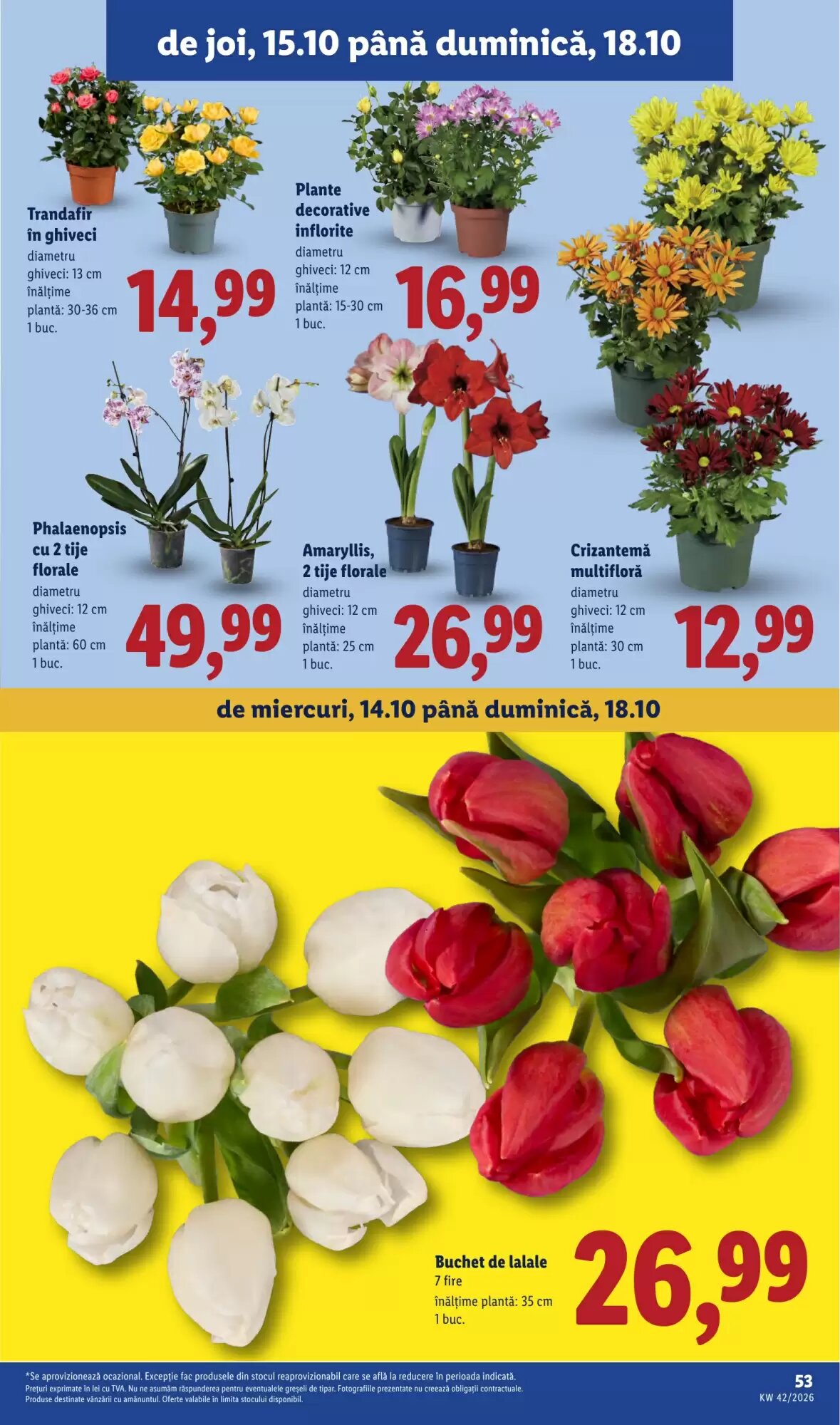 Catalogul cu oferte Lidl valabil de la 12.10.2026 - Pagina 53.