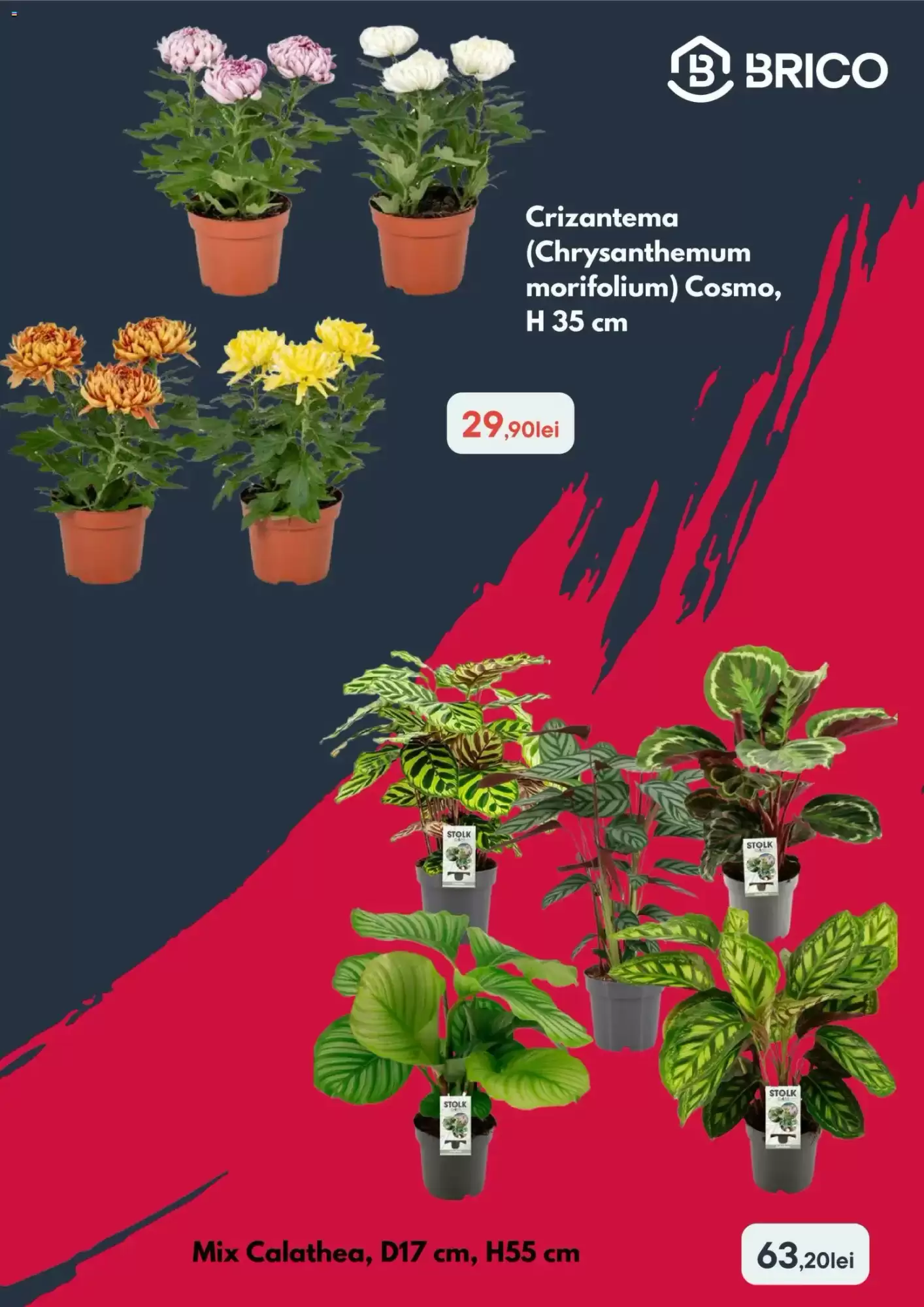 Catalogul cu oferte Brico Depôt valabil de la 15.10.2026 - Pagina 3.