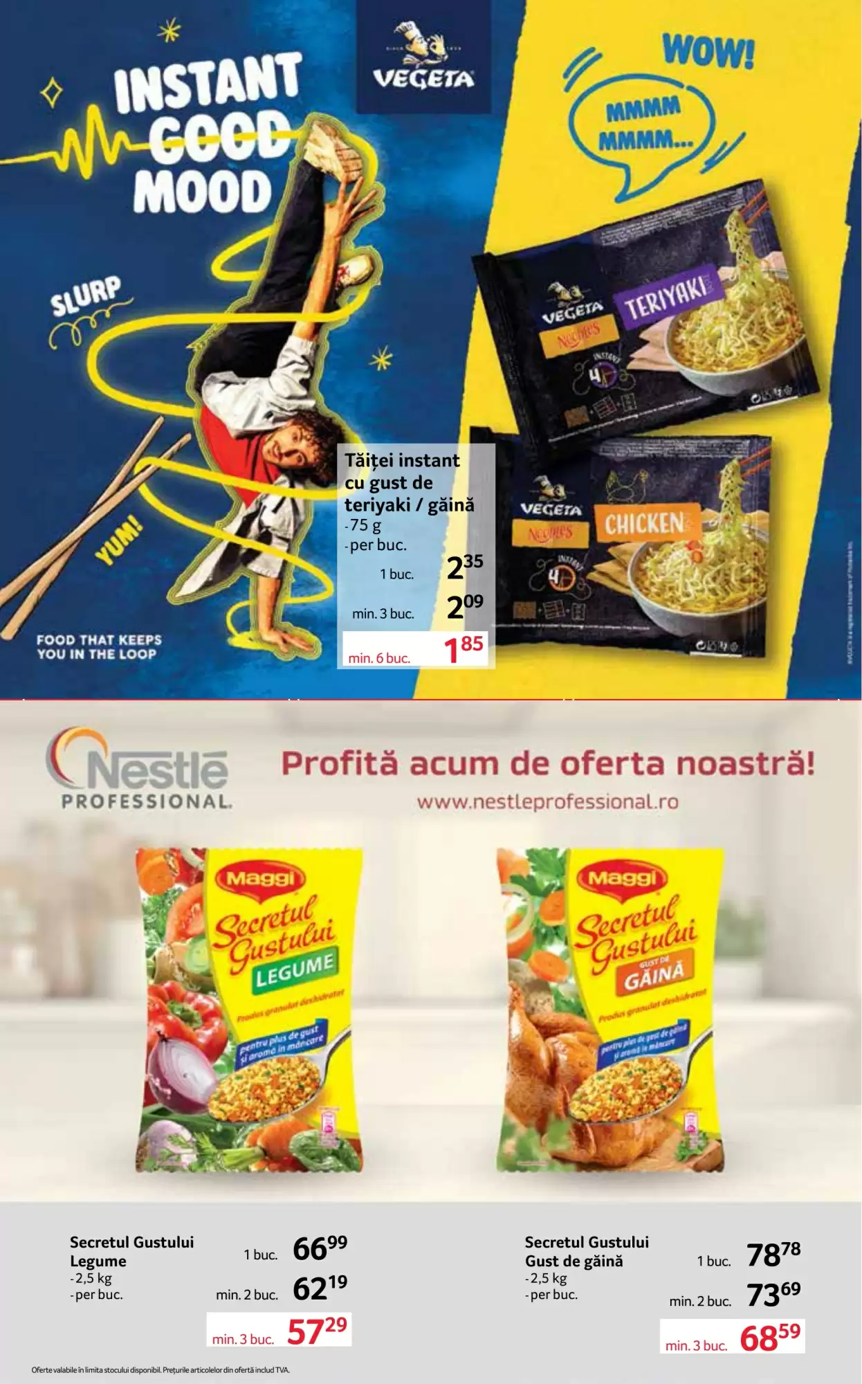 Catalogul cu oferte Selgros valabil de la 16.10.2026 - Pagina 17.