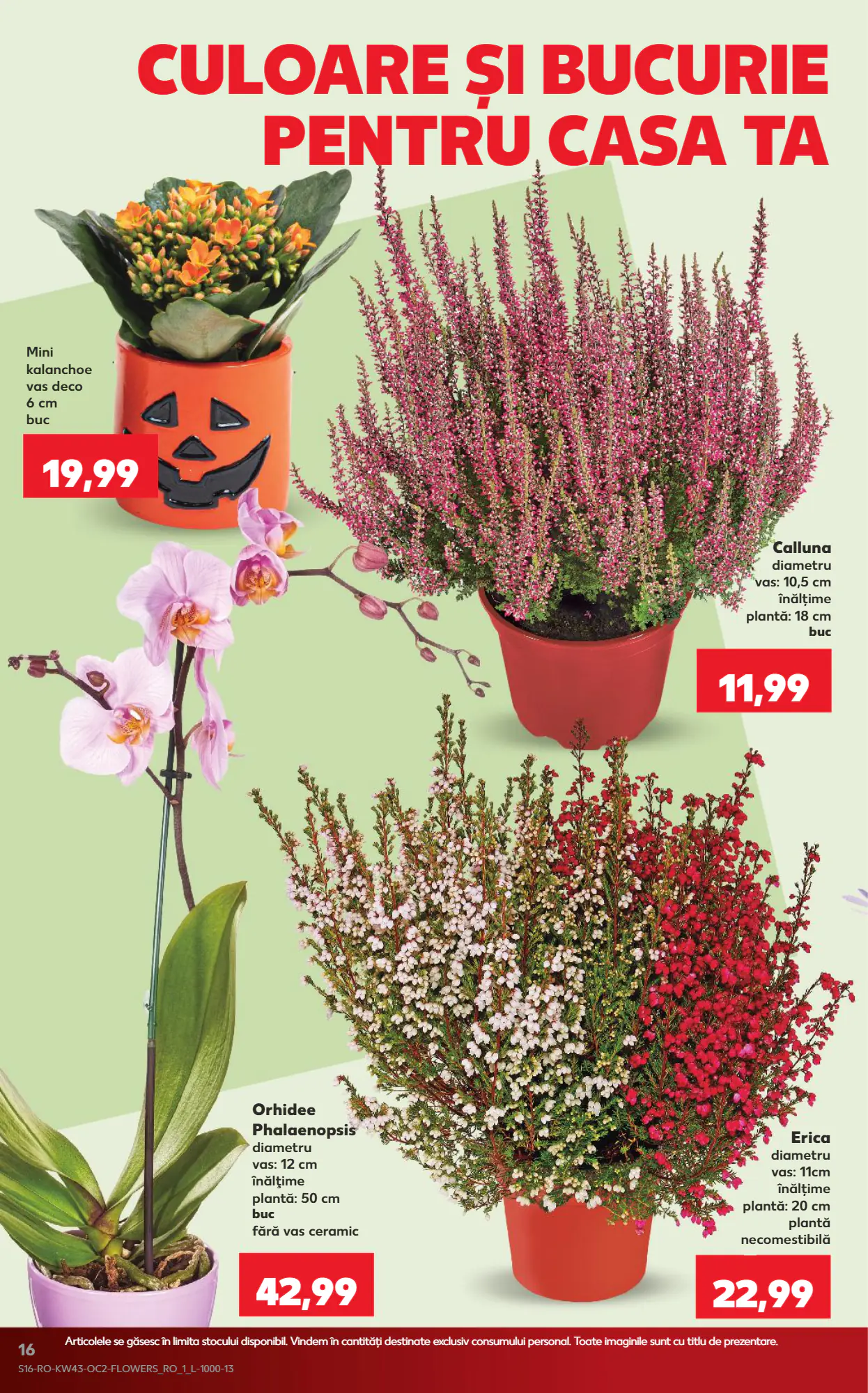 Catalogul cu oferte Kaufland valabil de la 21.10.2026 - Pagina 16.