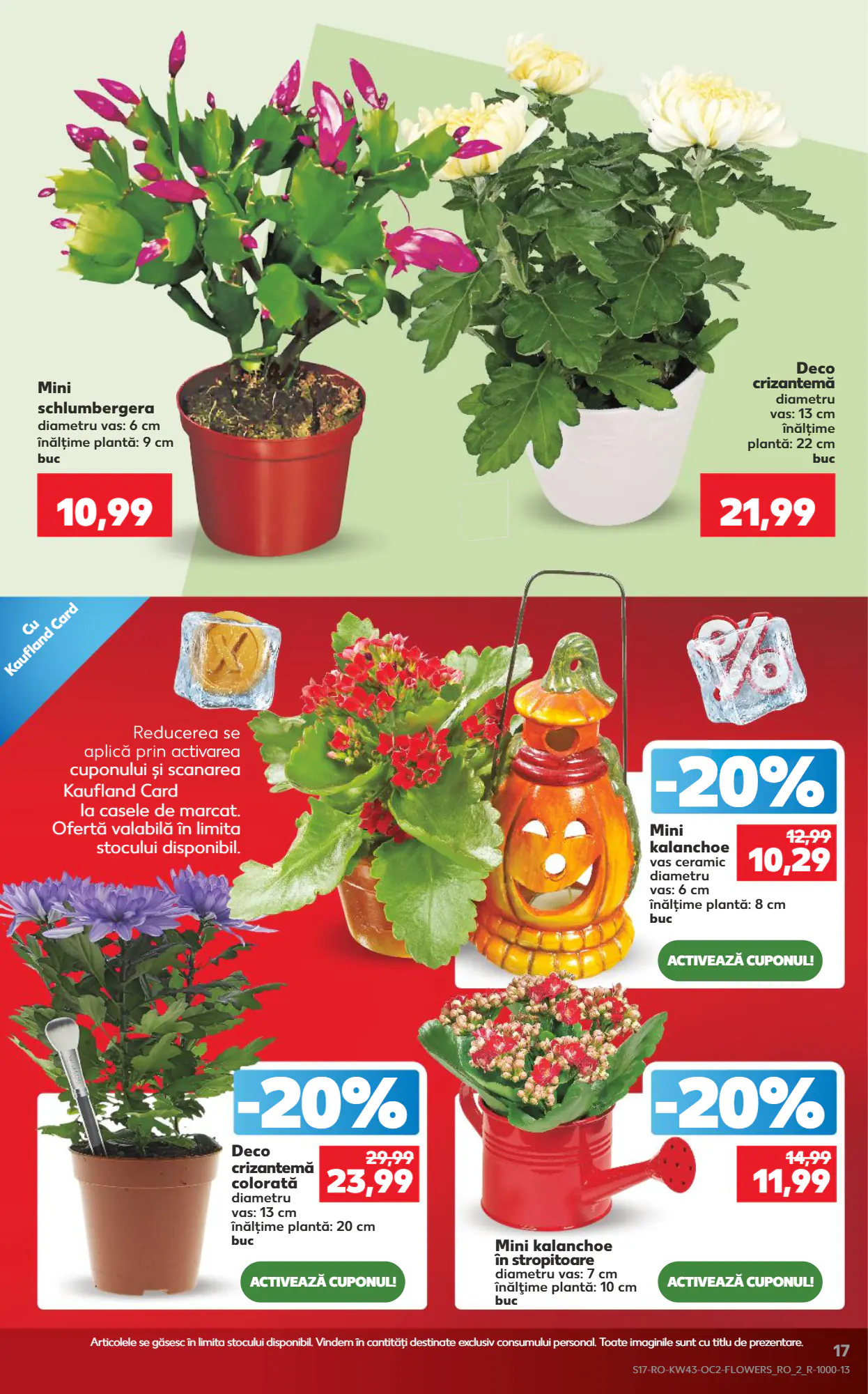Catalogul cu oferte Kaufland valabil de la 21.10.2026 - Pagina 17.