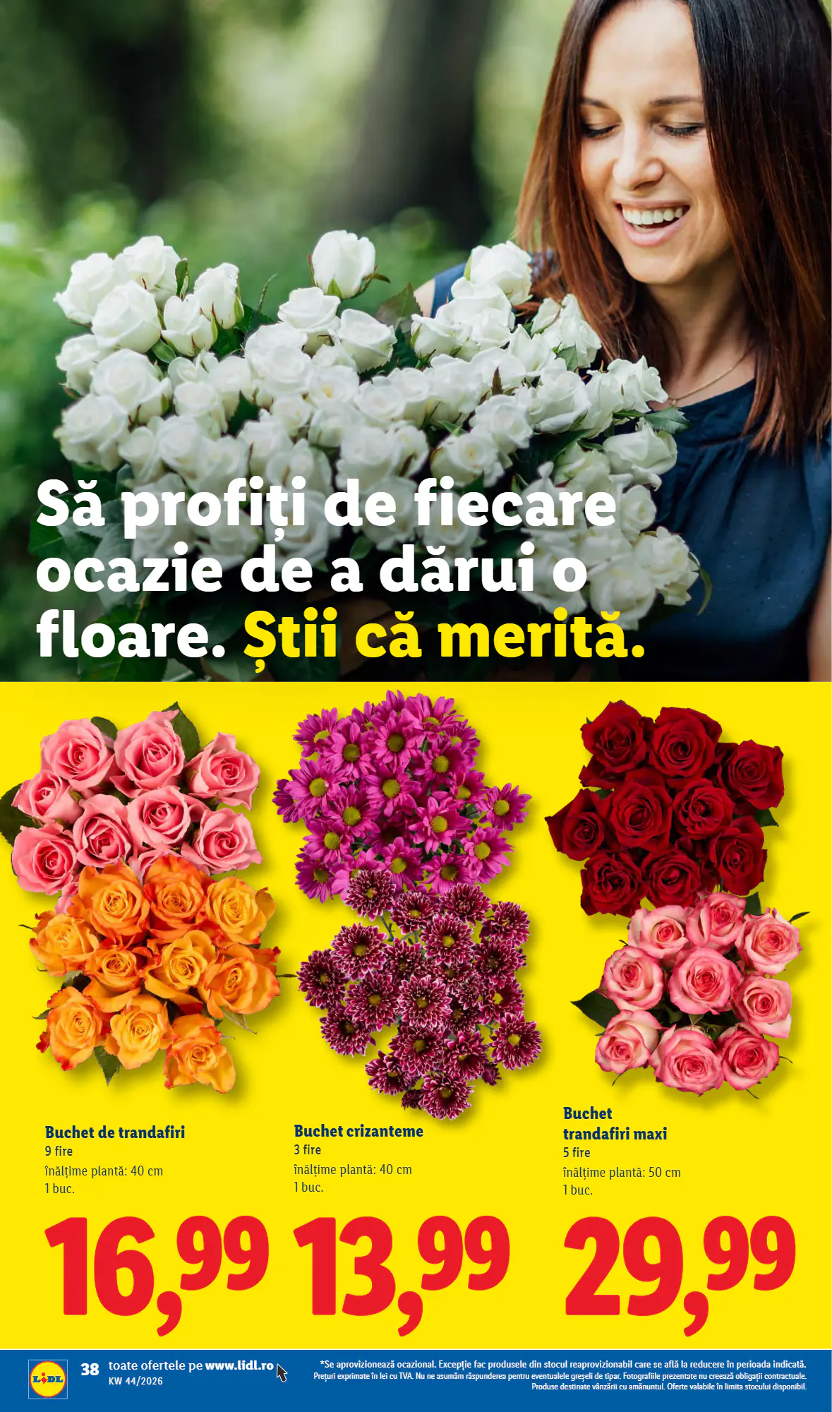 Catalogul cu oferte Lidl valabil de la 26.10.2026 - Pagina 38.