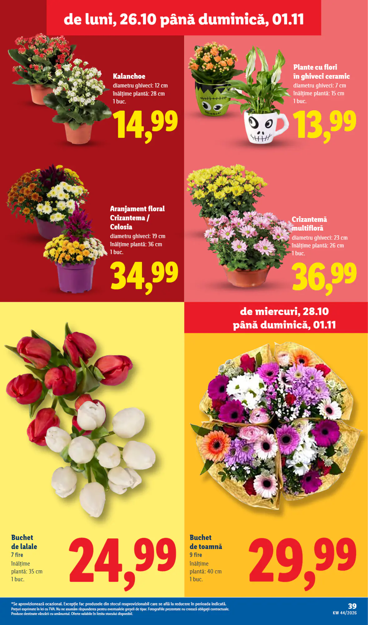 Catalogul cu oferte Lidl valabil de la 26.10.2026 - Pagina 39.