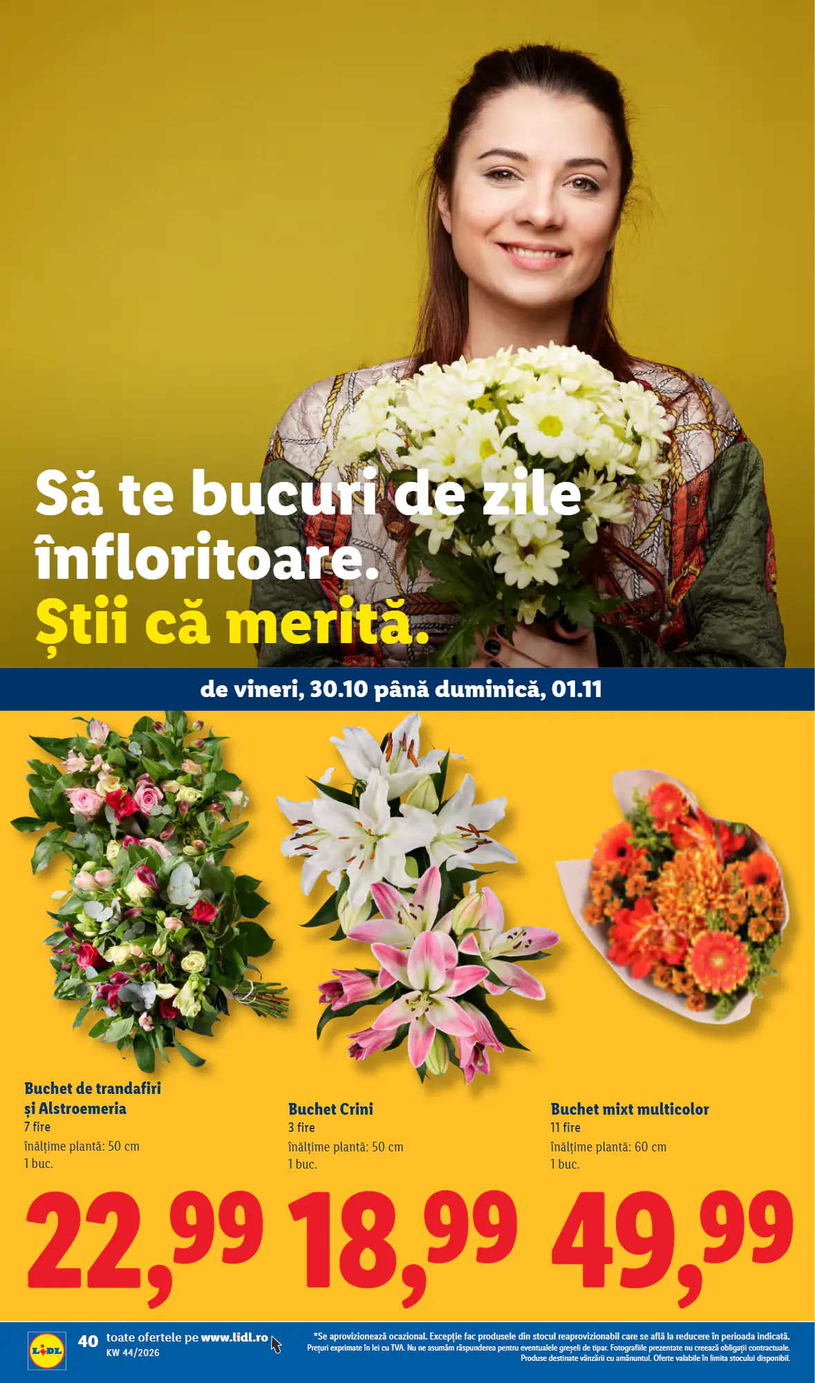 Catalogul cu oferte Lidl valabil de la 26.10.2026 - Pagina 40.