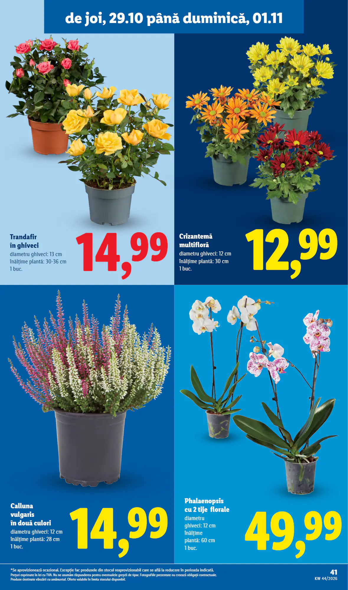 Catalogul cu oferte Lidl valabil de la 26.10.2026 - Pagina 41.