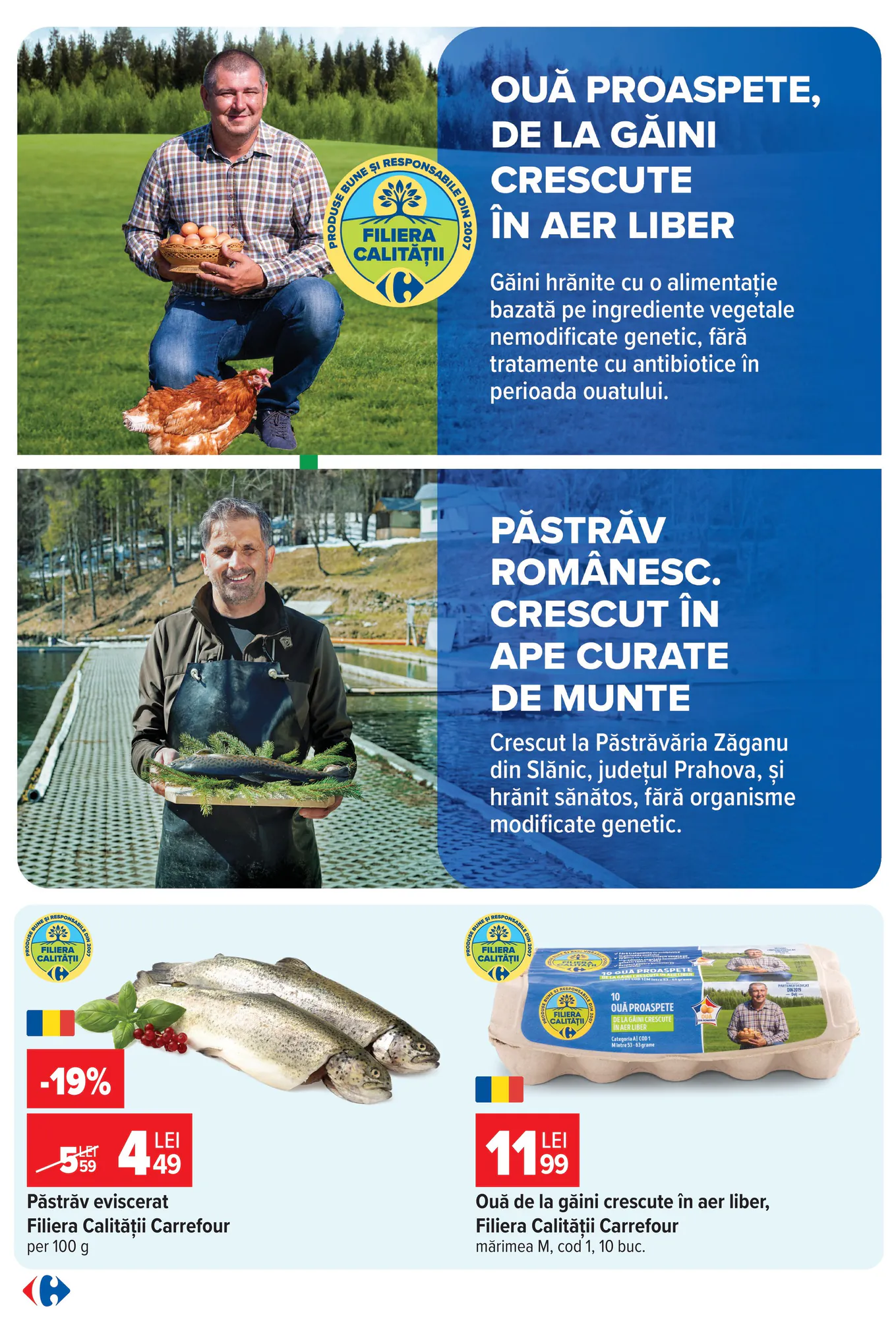 Catalogul cu oferte Carrefour valabil de la 28.10.2026 - Pagina 5.
